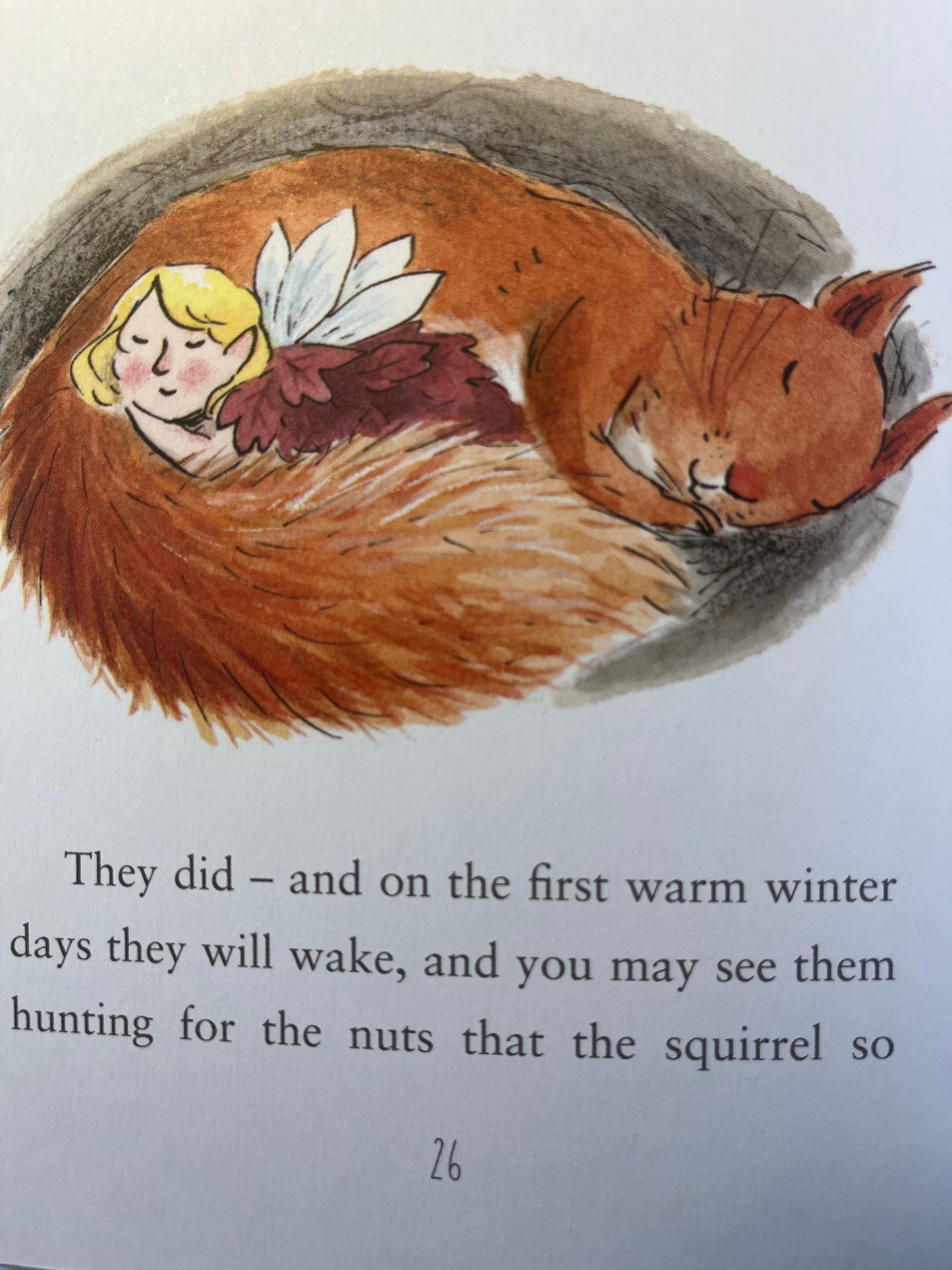 Children's Picture Book - Enid Blyton's STORIES FOR COZY DAYS