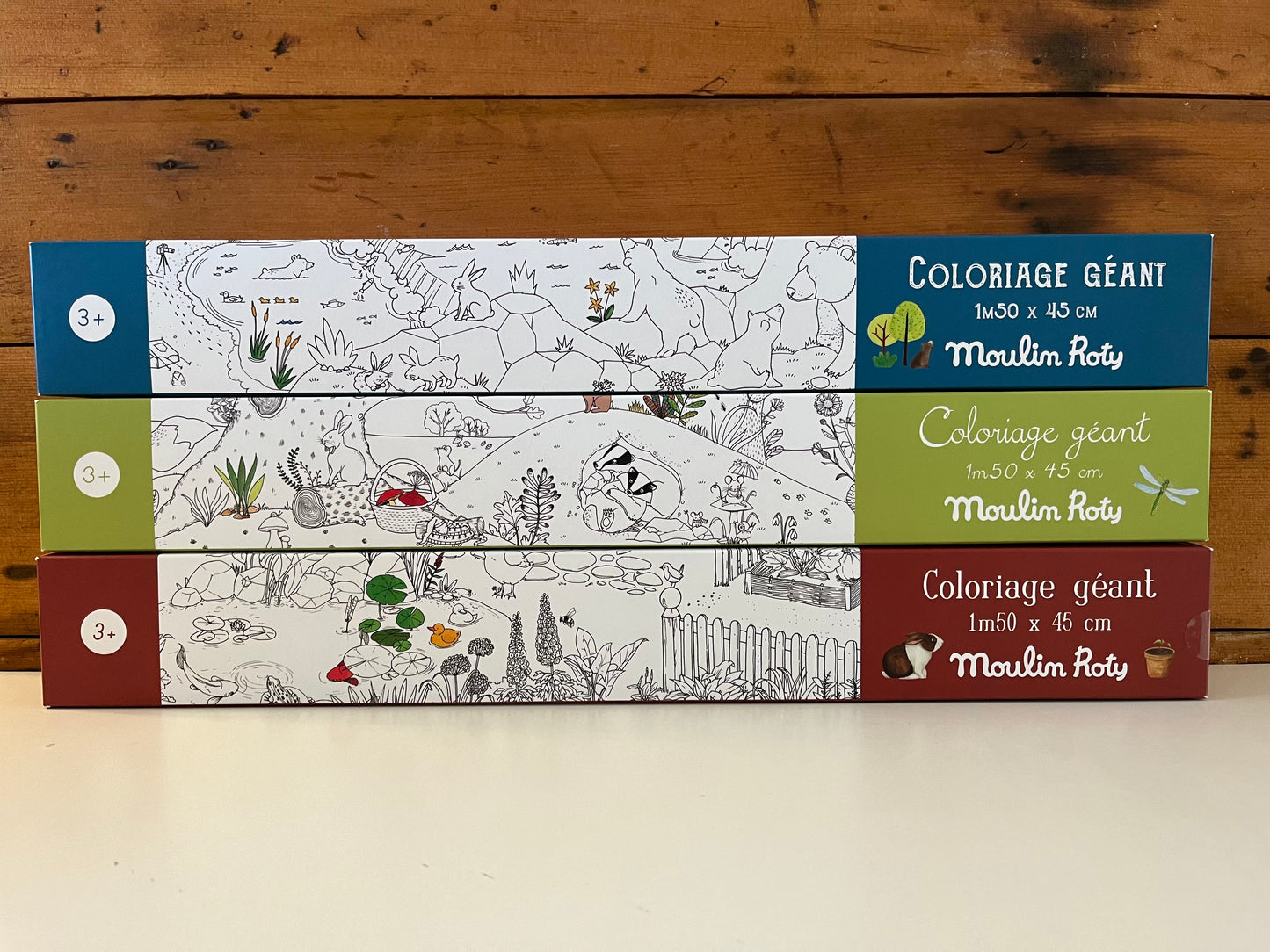 Educational Activity Set - COLOURING FOREST SCENE