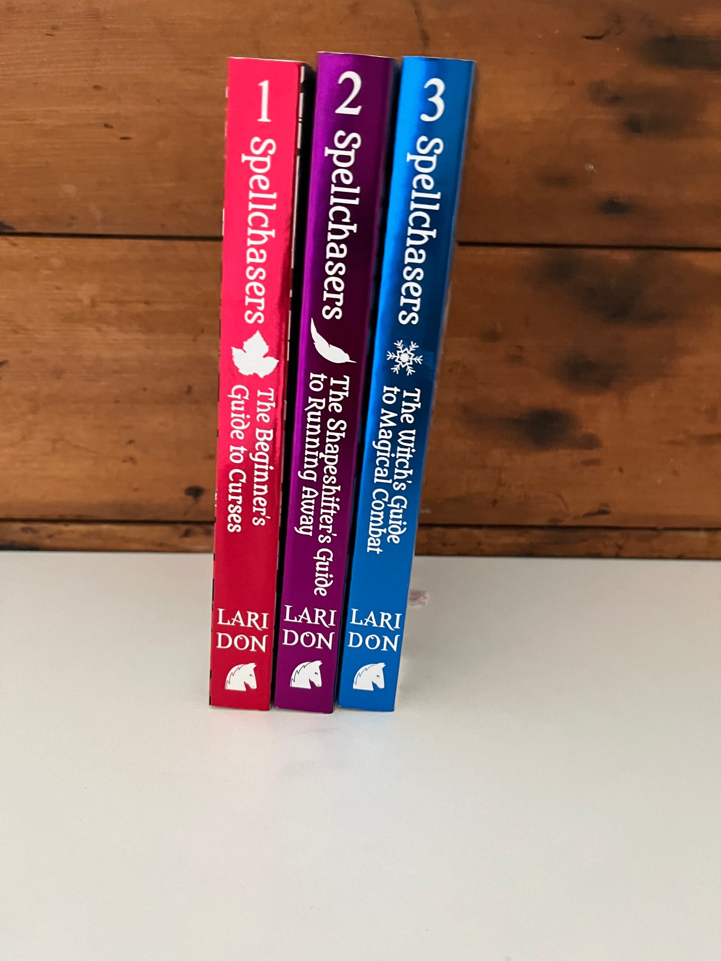 Chapter Books for Older Readers - SPELLCHASERS TRILOGY