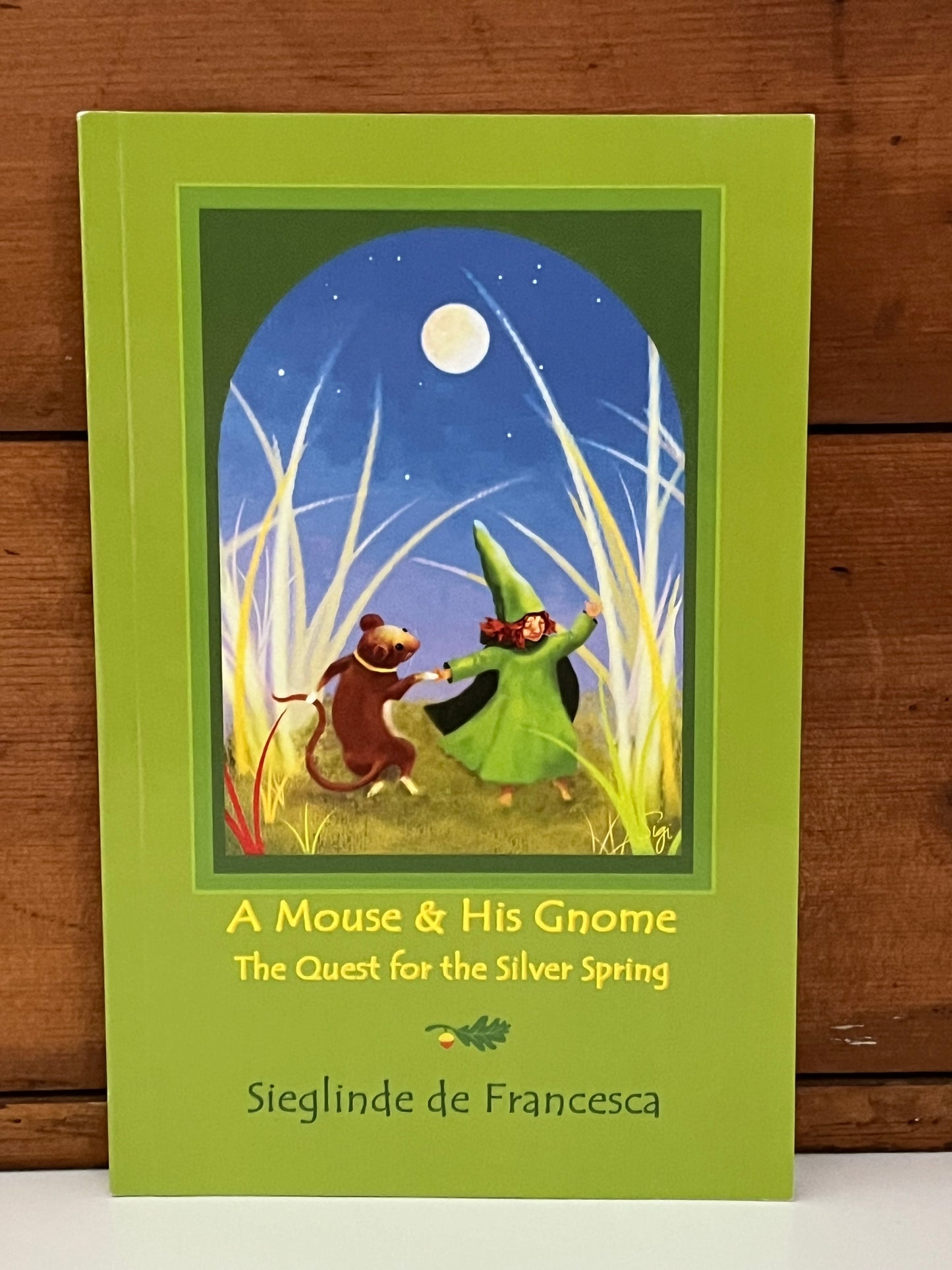 Chapter Books for Young Readers - A MOUSE AND HIS GNOME, THE QUEST FOR THE SILVER SPRING