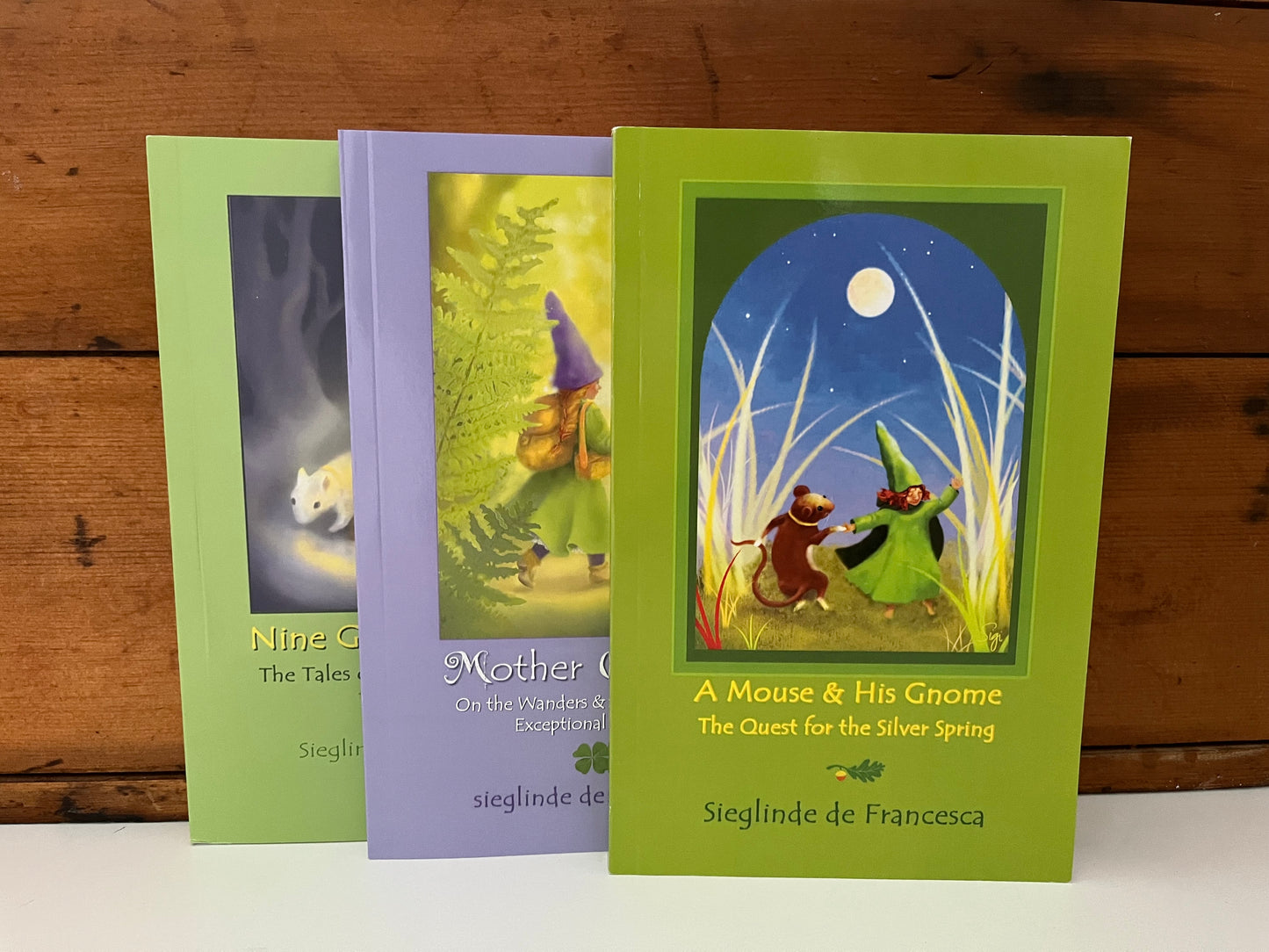 Chapter Books for Young Readers - A MOUSE AND HIS GNOME, THE QUEST FOR THE SILVER SPRING