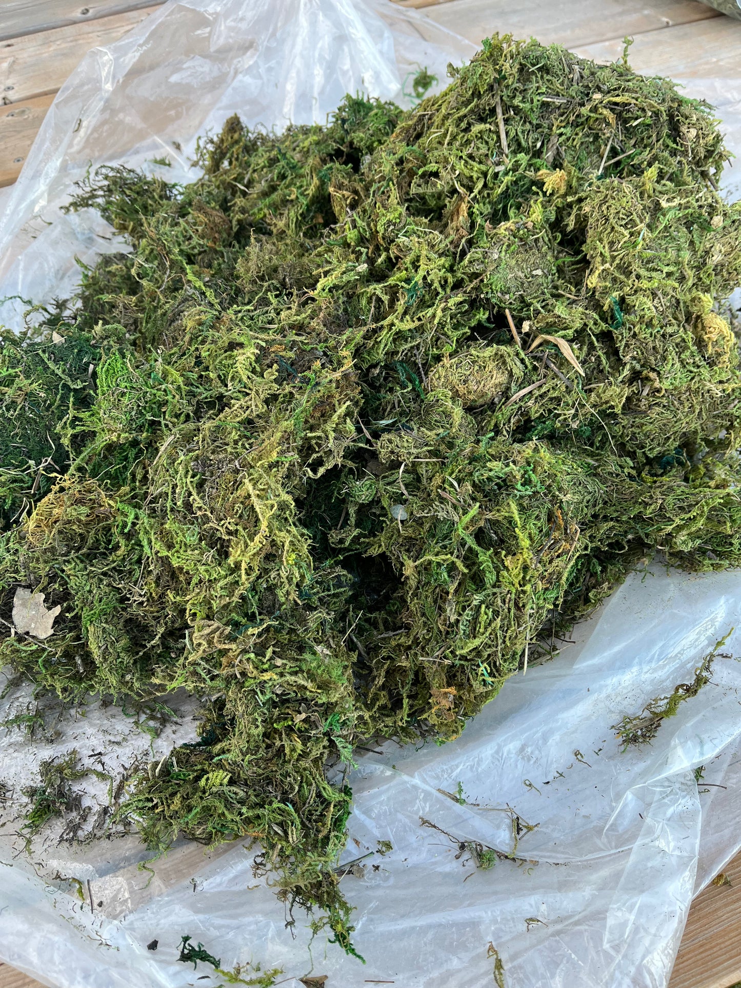 Crafting MOSS, Arts&Crafts