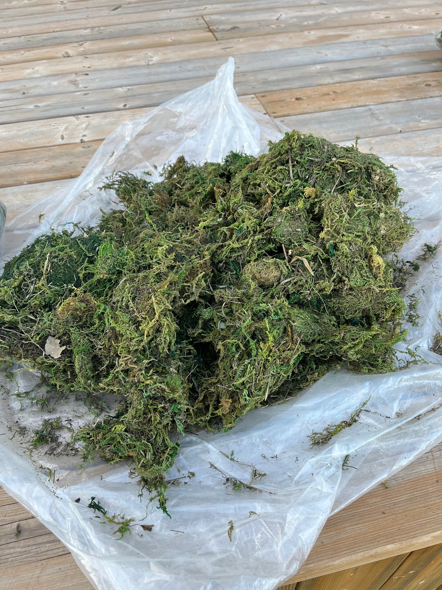 Crafting MOSS, Arts&Crafts