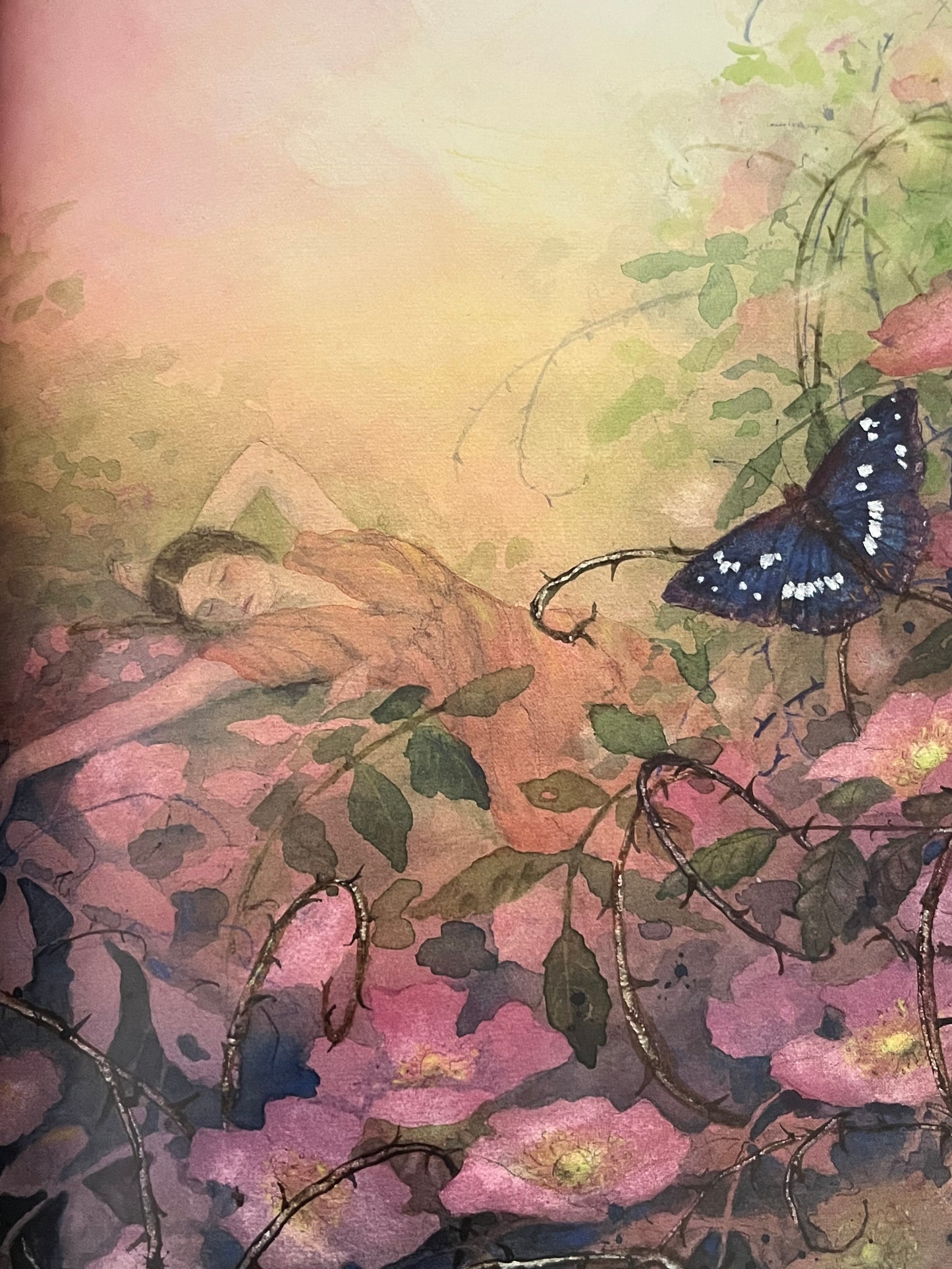 Chapter Fairy and Folk Tales StoryBook - An Illustrated Treasury of GRIMM’S FAIRY TALES
