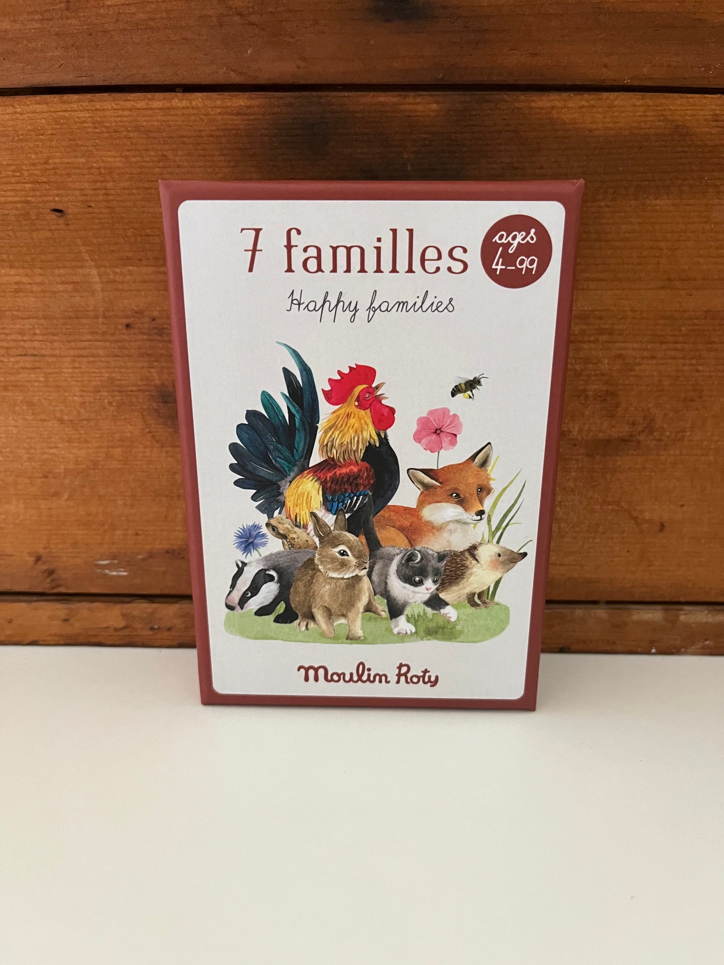 Activity Set - HAPPY FAMILIES, Matching Card Game