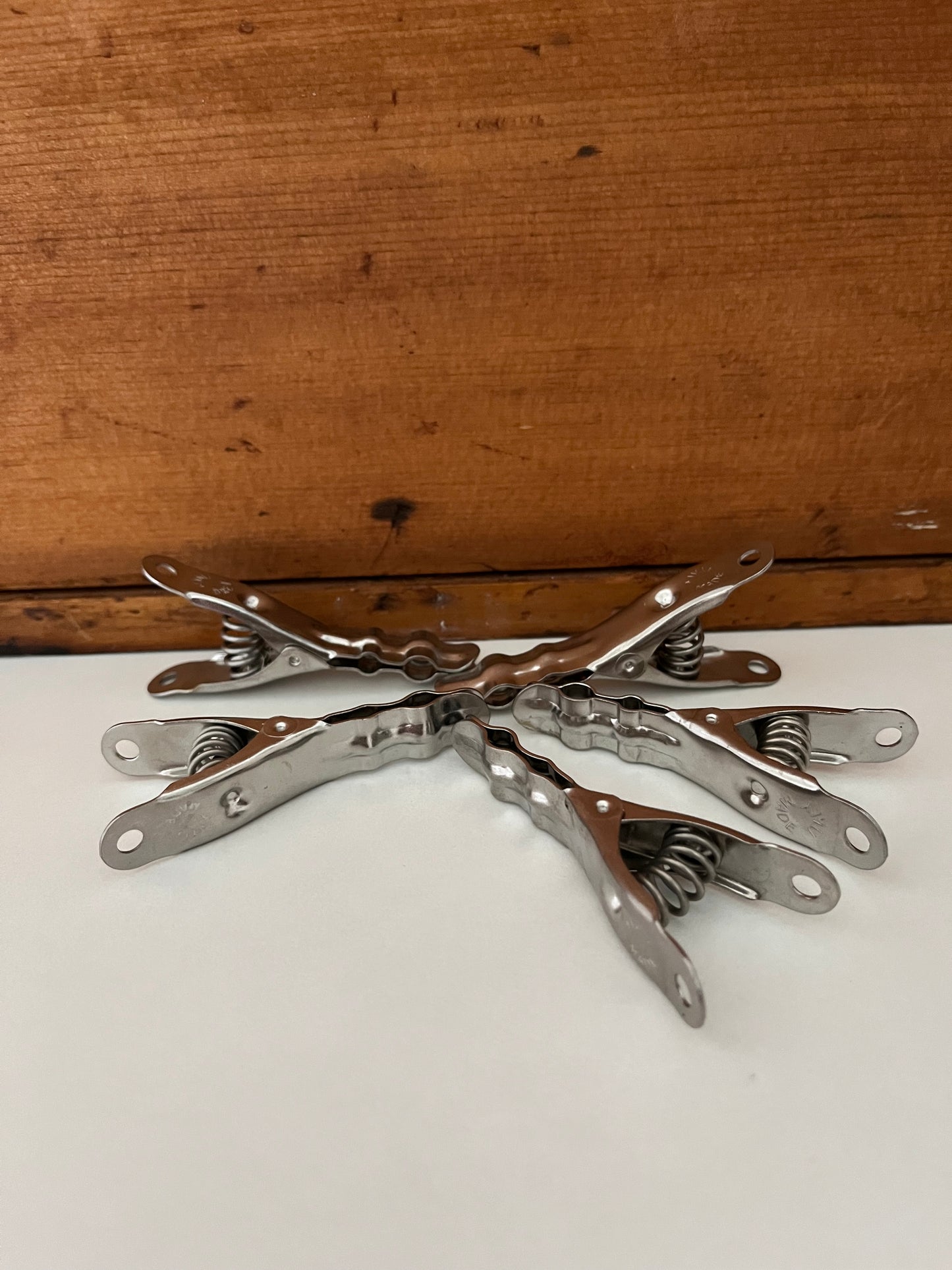 Eco-Home Reusable, Steel CLOTHESPINS, 20 will last a lifetime!