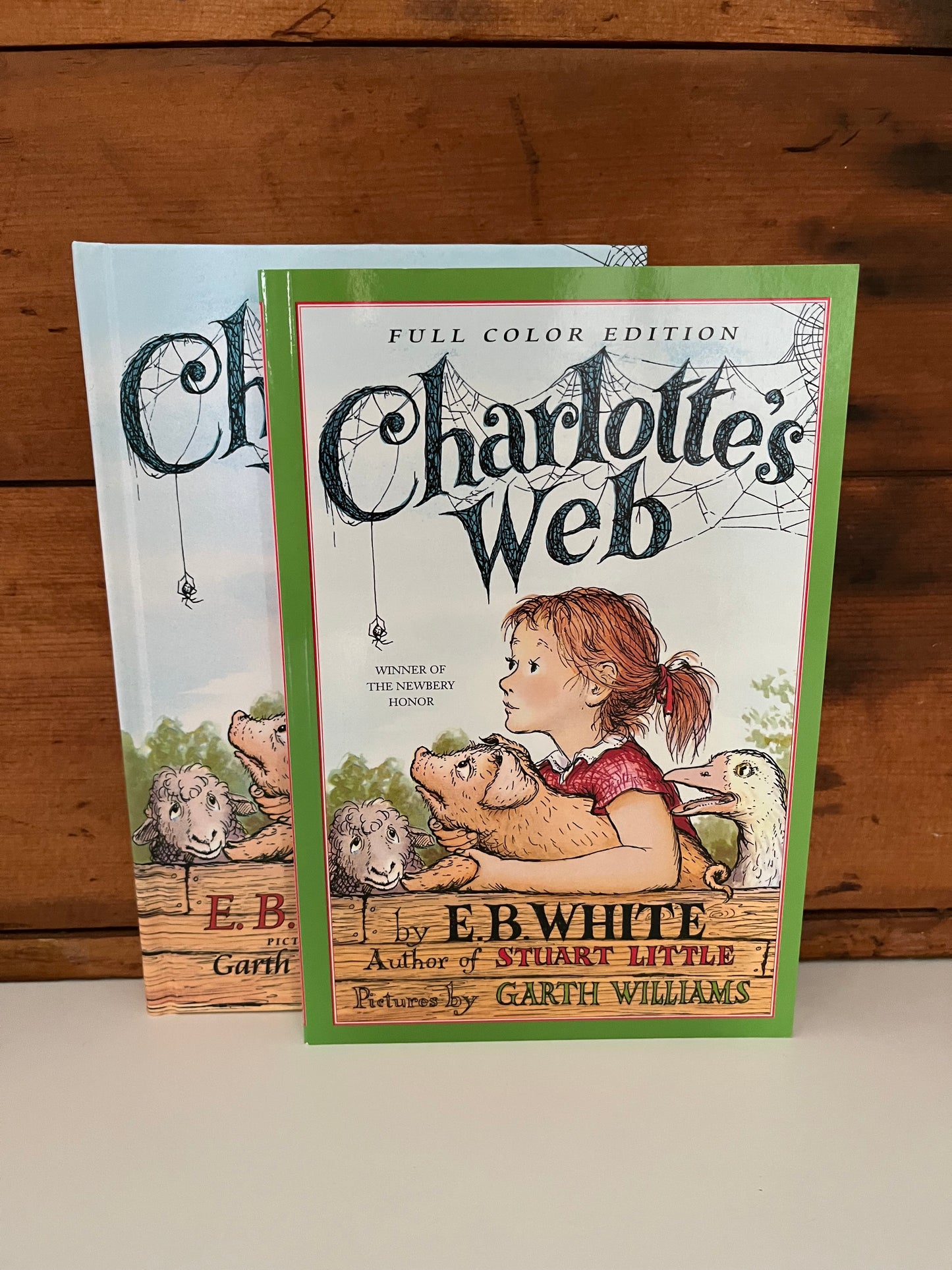 Chapter Book for Young Readers - CHARLOTTE'S WEB... 2 choices!