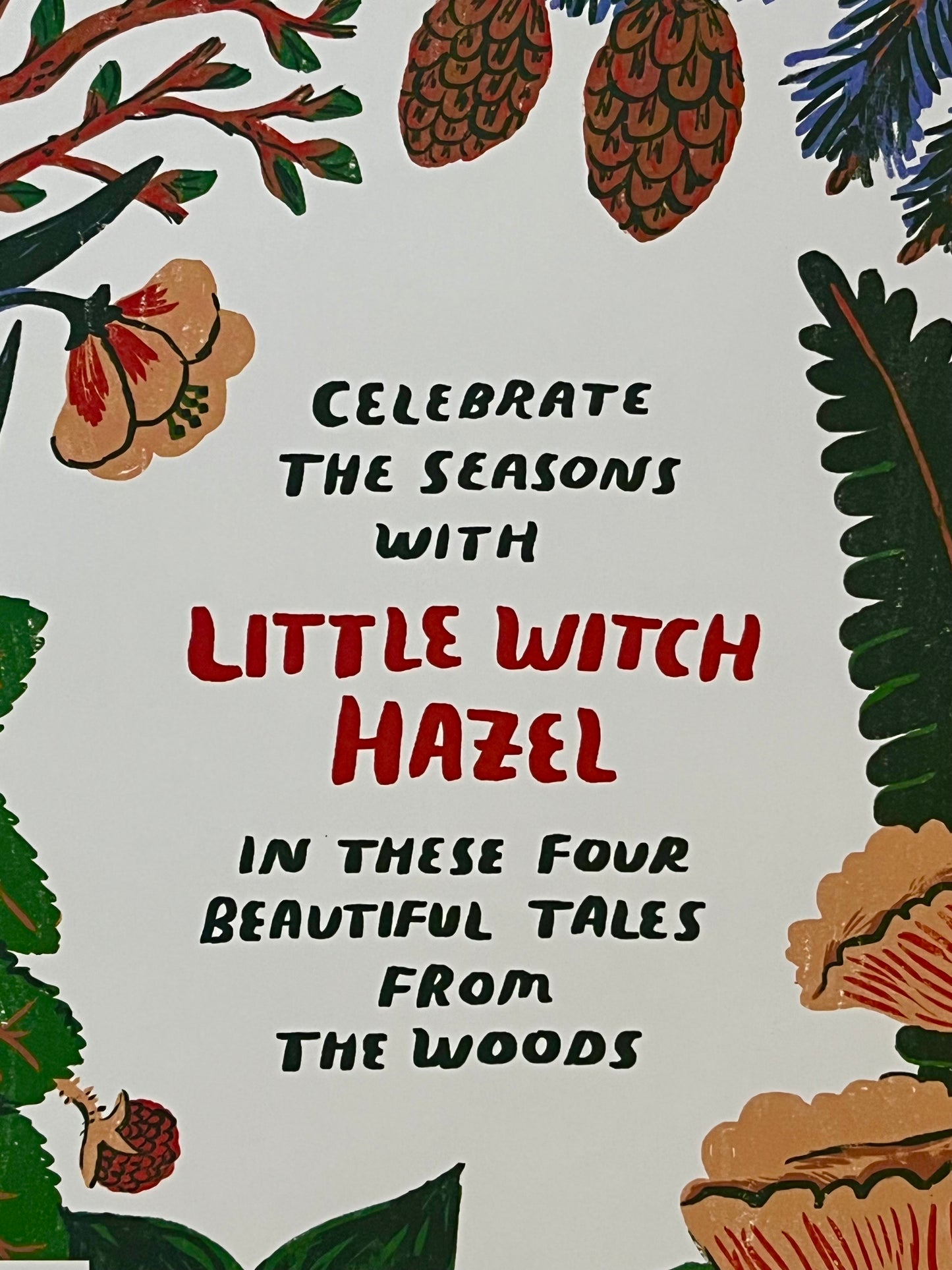 Children's Chapter Picture Book - LITTLE WITCH HAZEL, A Year in the Forest