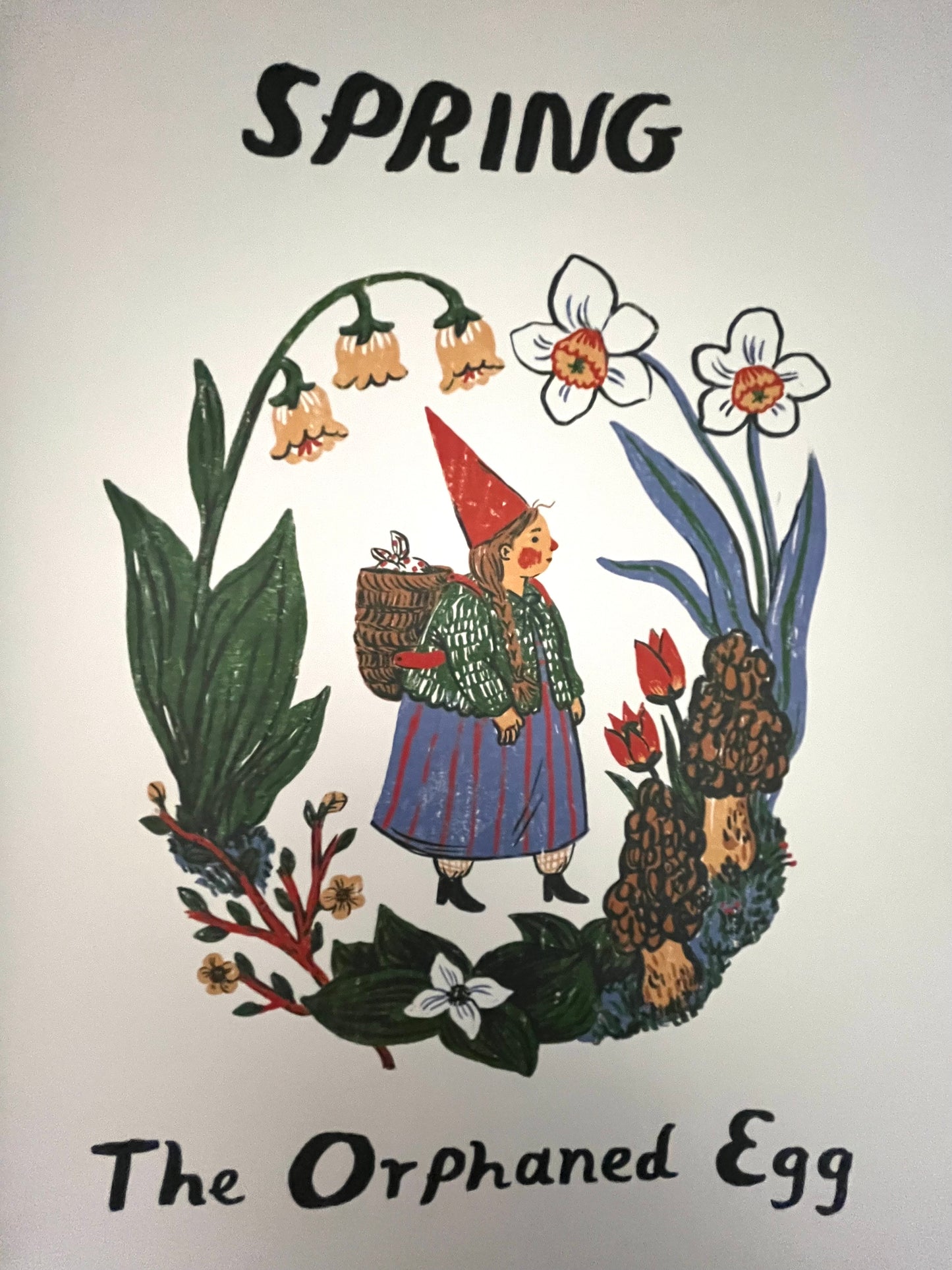 Children's Chapter Picture Book - LITTLE WITCH HAZEL, A Year in the Forest