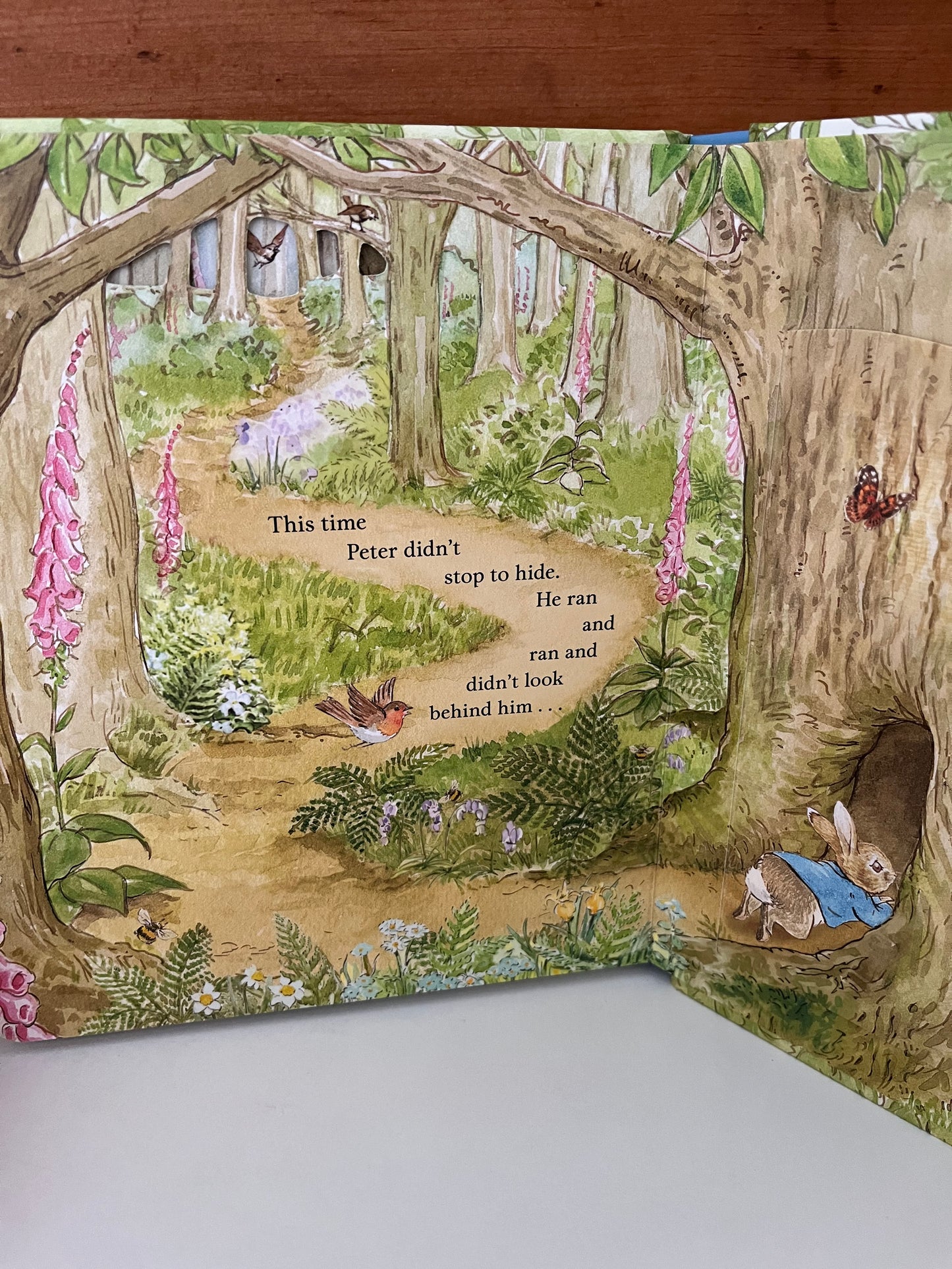 Board Book, Baby - PETER RABBIT'S A PEEP-INSIDE-TALE
