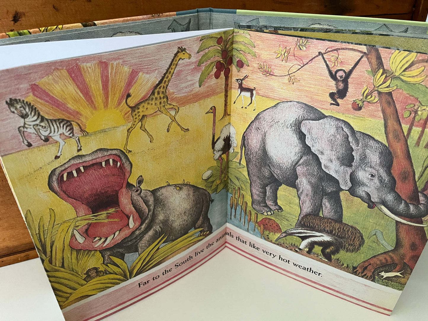 Le LIVRE DES ANIMAUX de D'Aulaire