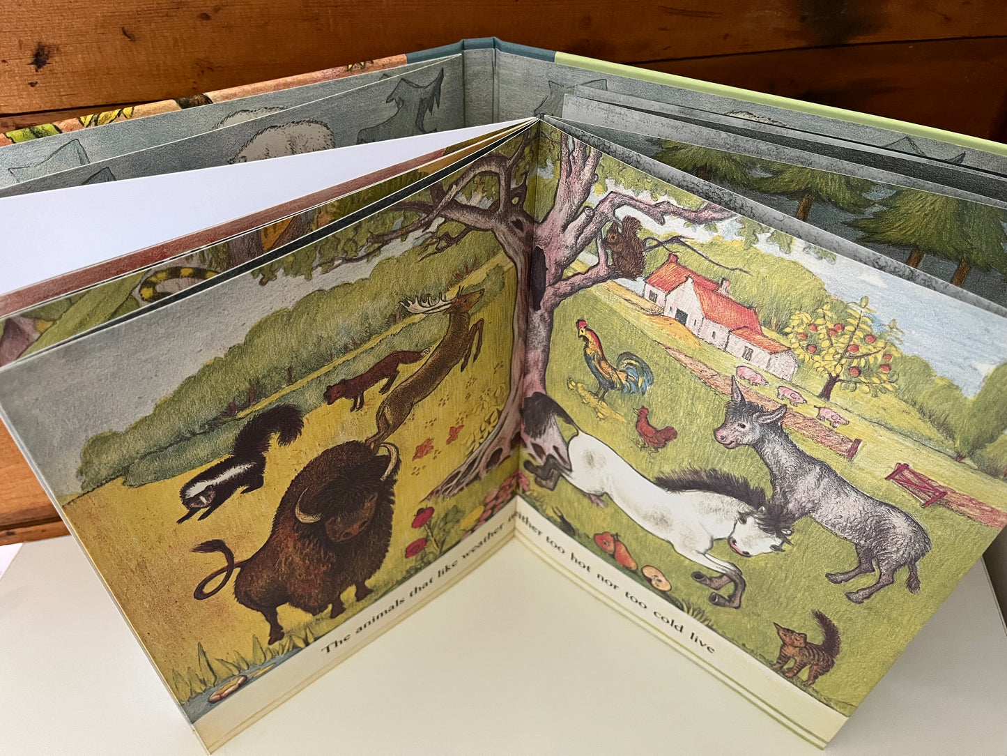 Le LIVRE DES ANIMAUX de D'Aulaire