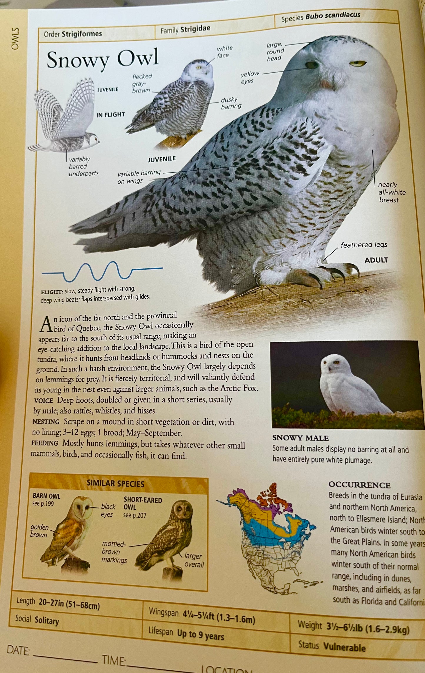 Educational Reference Book - THE BIRDS OF EASTERN 🇨🇦 CANADA