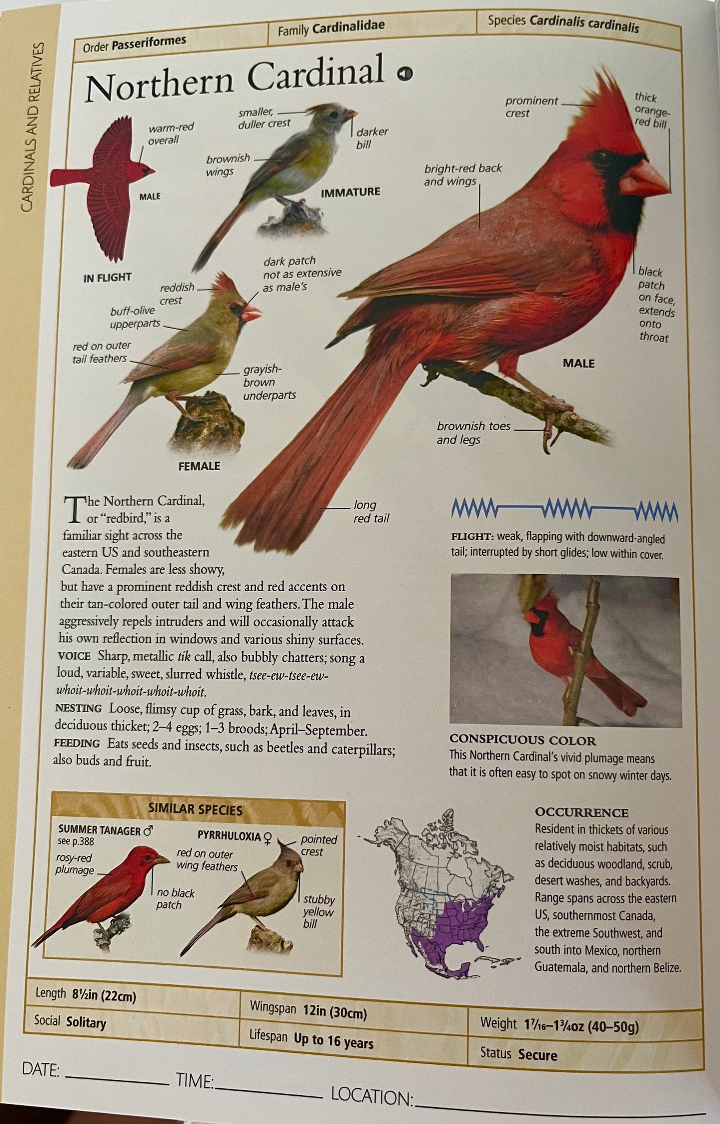 Educational Reference Book - THE BIRDS OF EASTERN 🇨🇦 CANADA