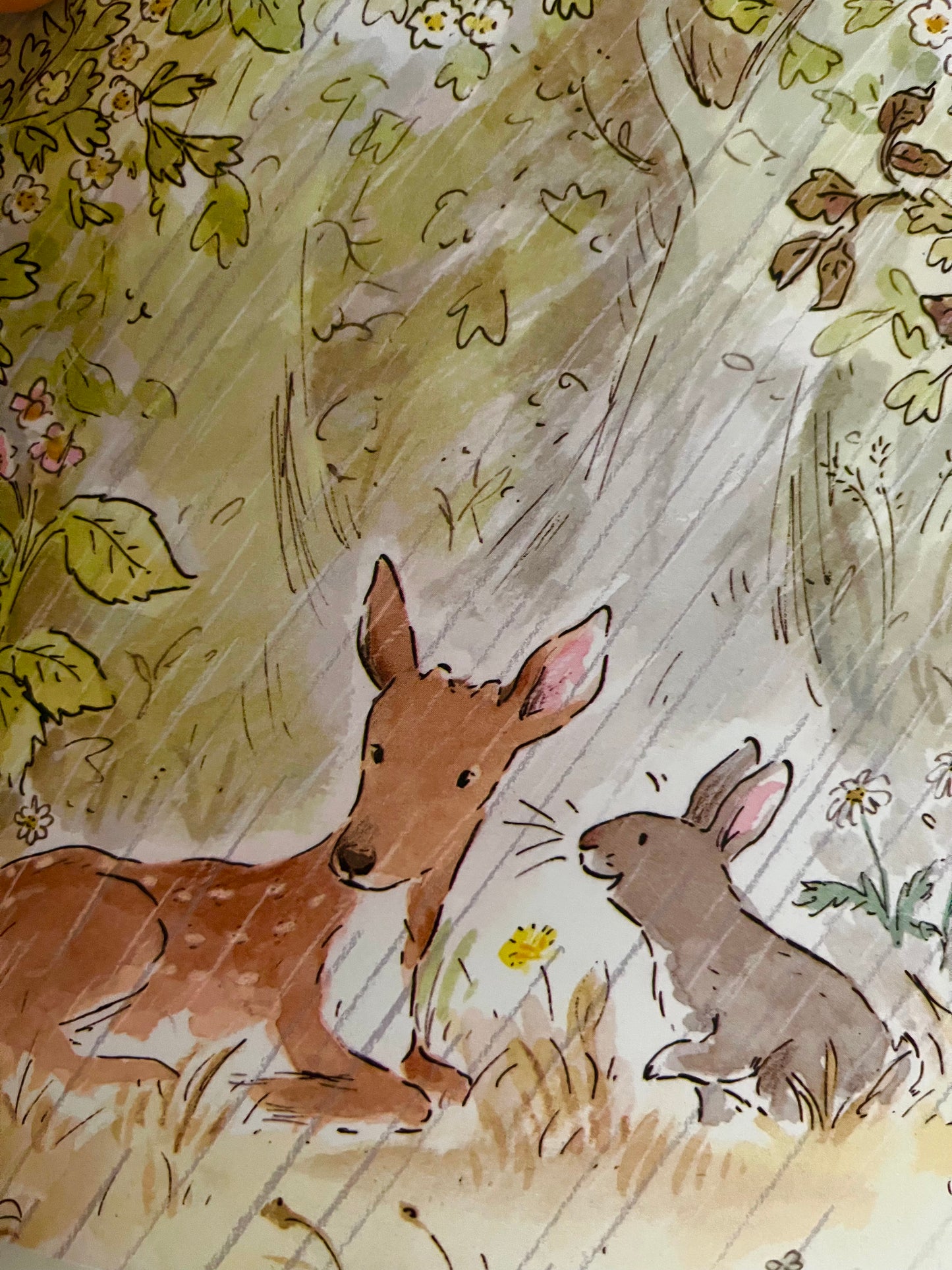 Children's Picture Book - Enid Blyton's STORIES FOR COZY DAYS