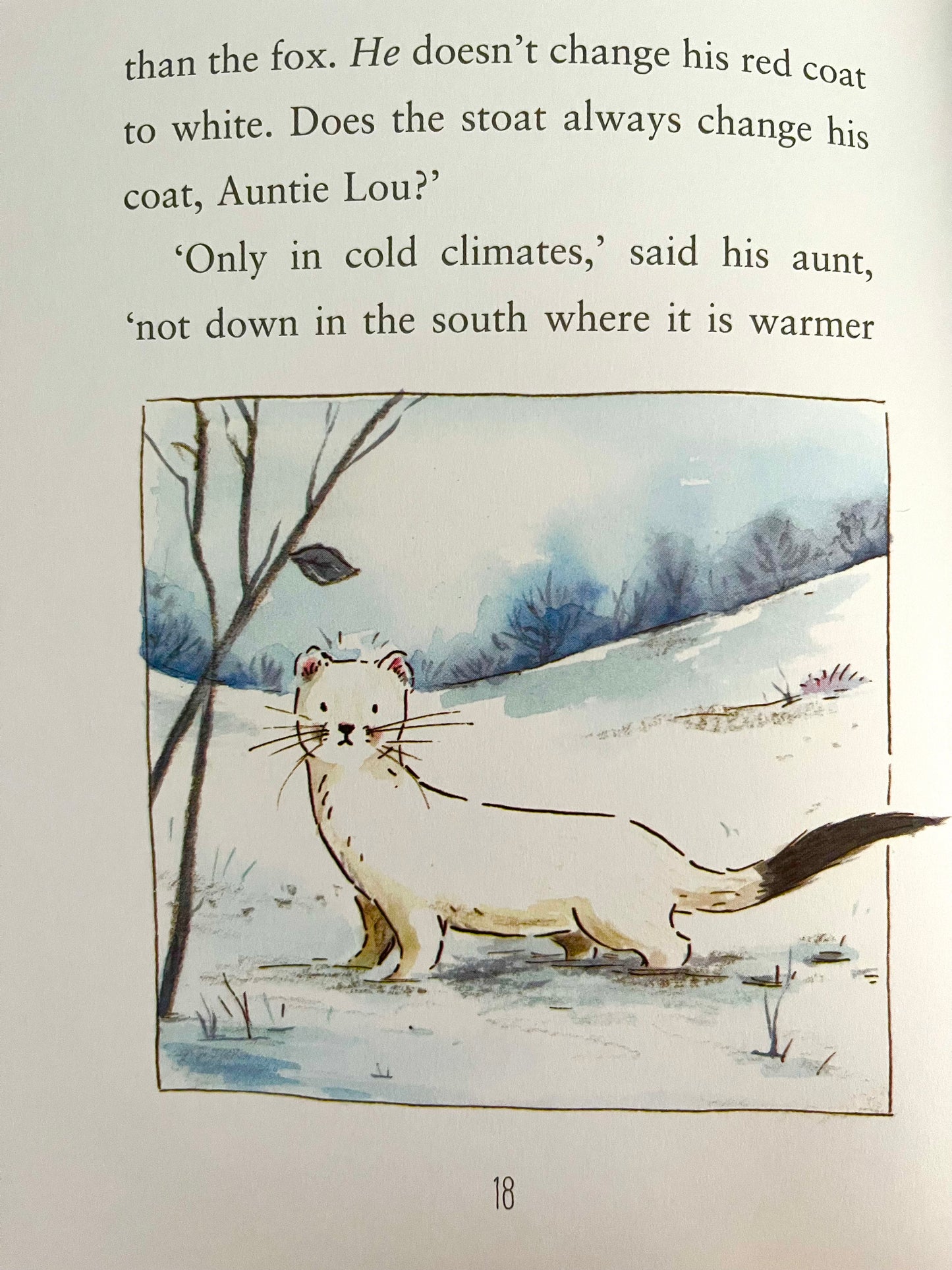 Children's Picture Book - Enid Blyton's STORIES OF WOODLAND ADVENTURES