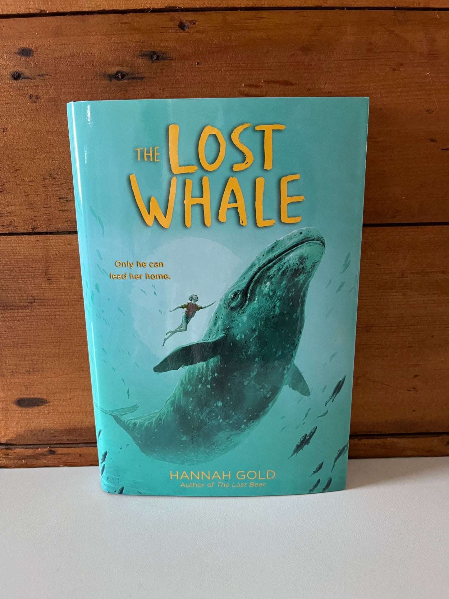 Chapter Books for Older Readers - FINDING BEAR
