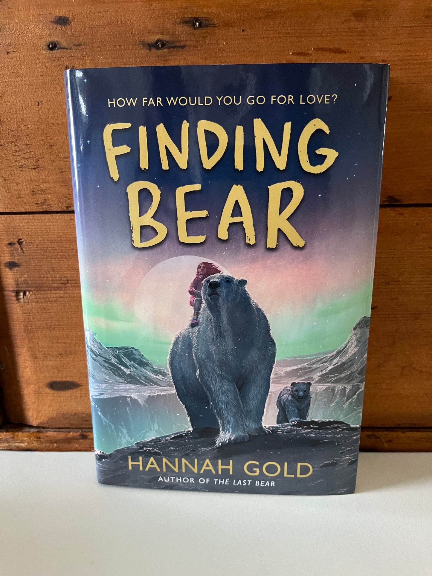 Chapter Books for Older Readers - FINDING BEAR
