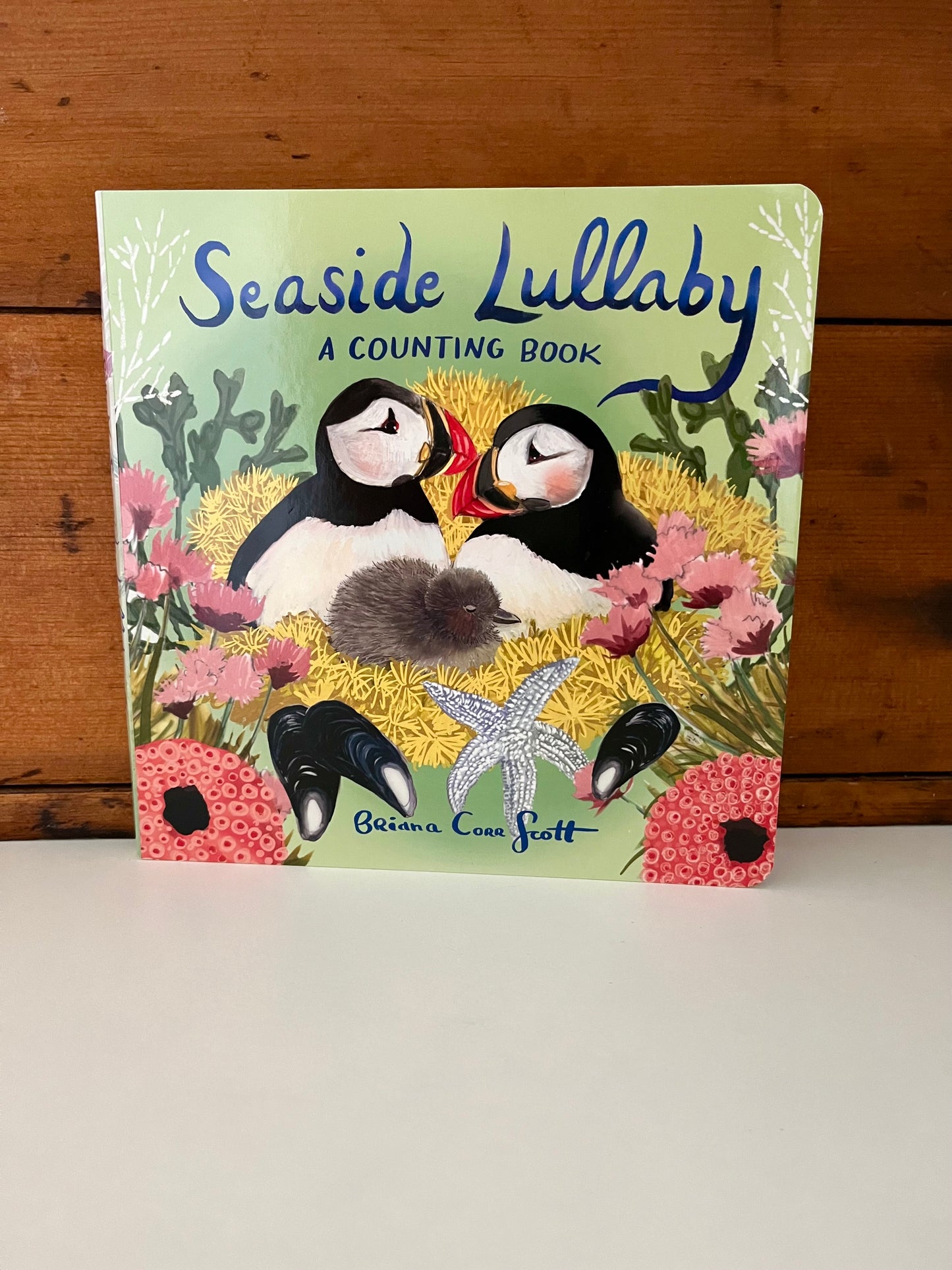Board Book, Baby - SEASIDE LULLABY, a counting book