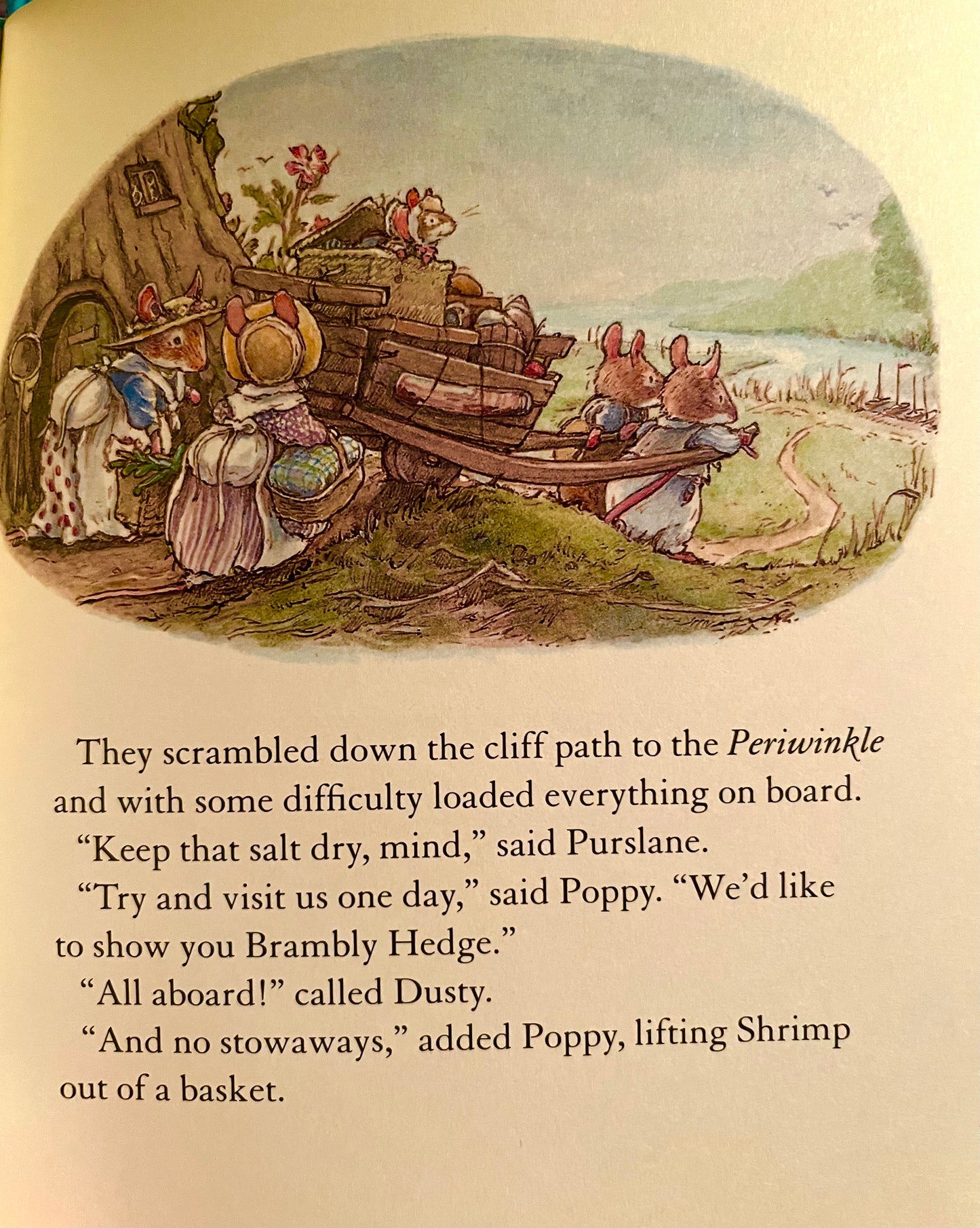 Children’s Picture Book - SEA STORY at BRAMBLY HEDGE