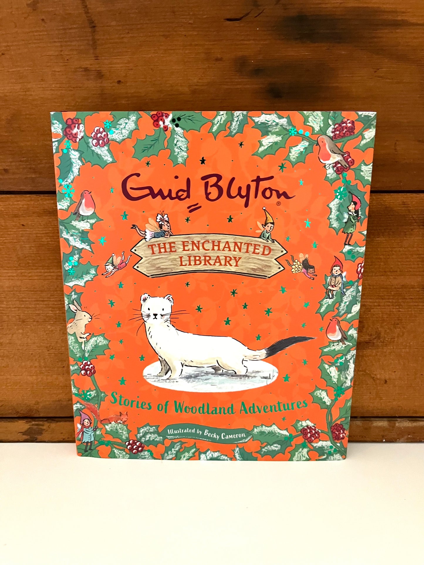 Children's Picture Book - Enid Blyton's STORIES OF WOODLAND ADVENTURES