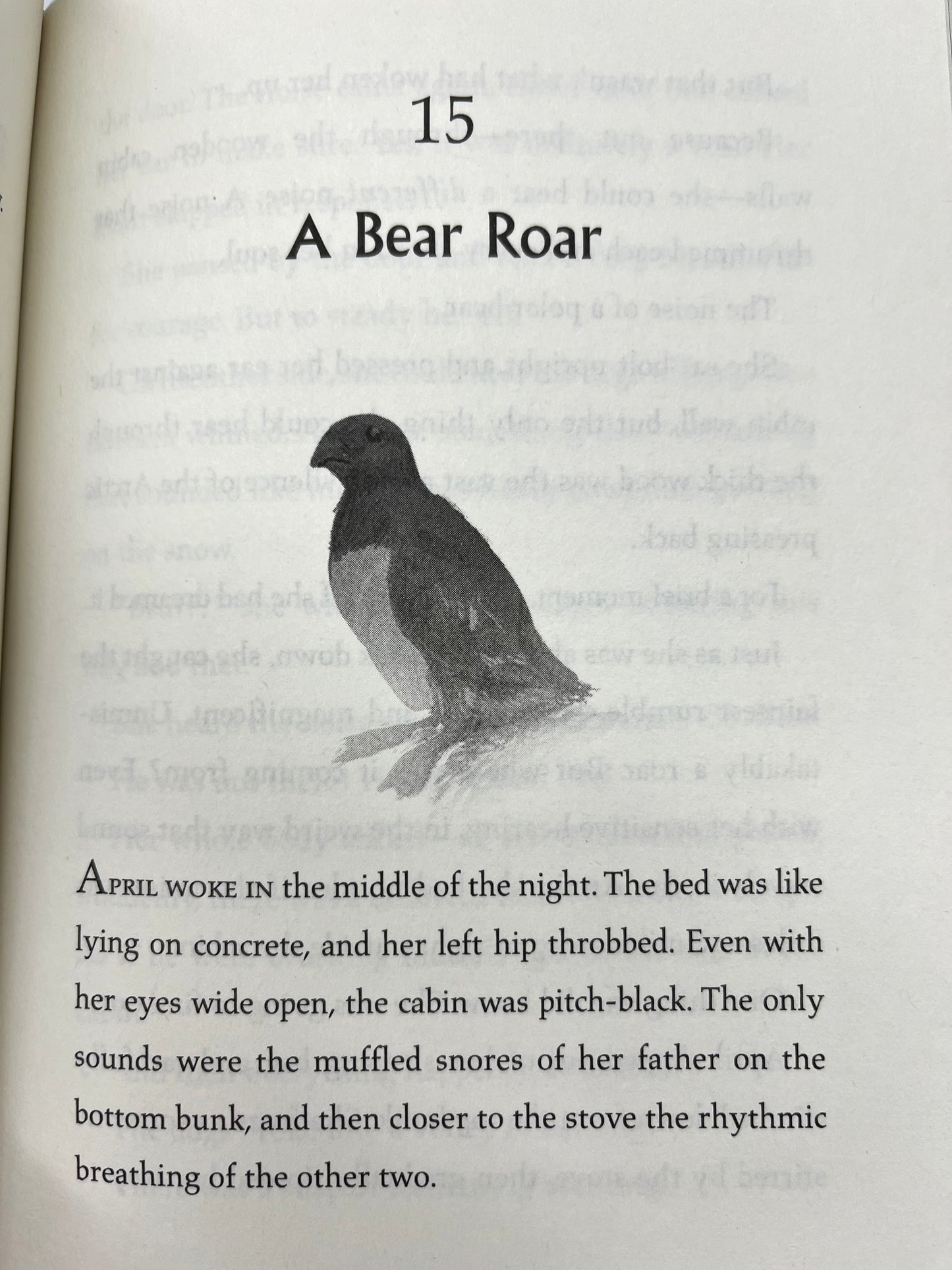 Chapter Books for Older Readers - FINDING BEAR