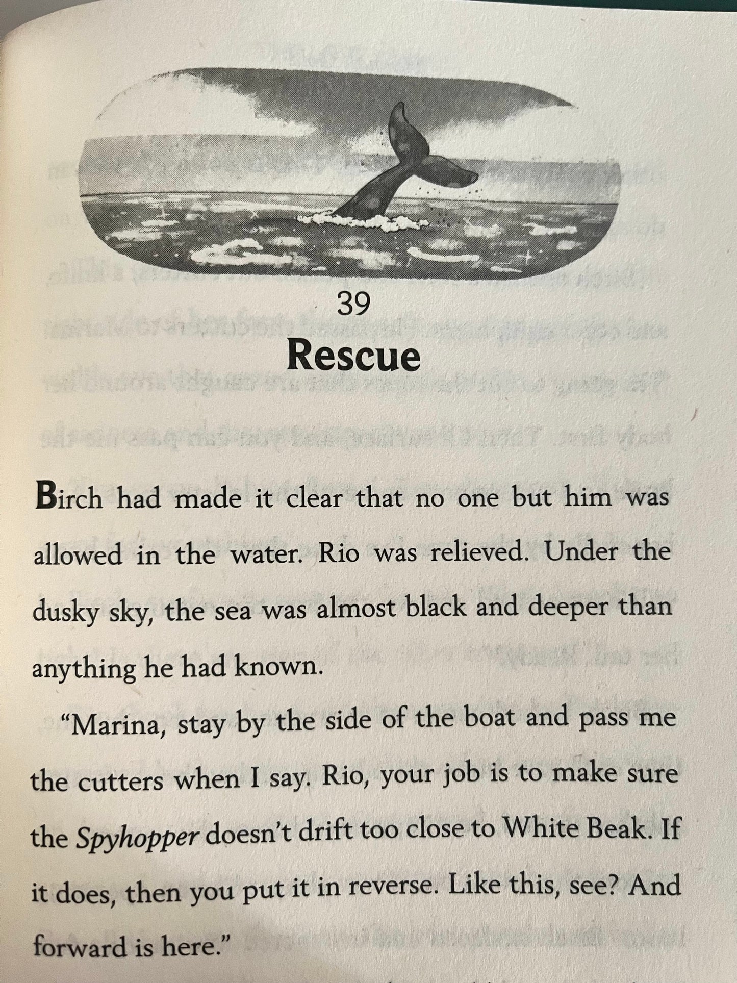 Chapter Books for Older Readers - THE LOST WHALE