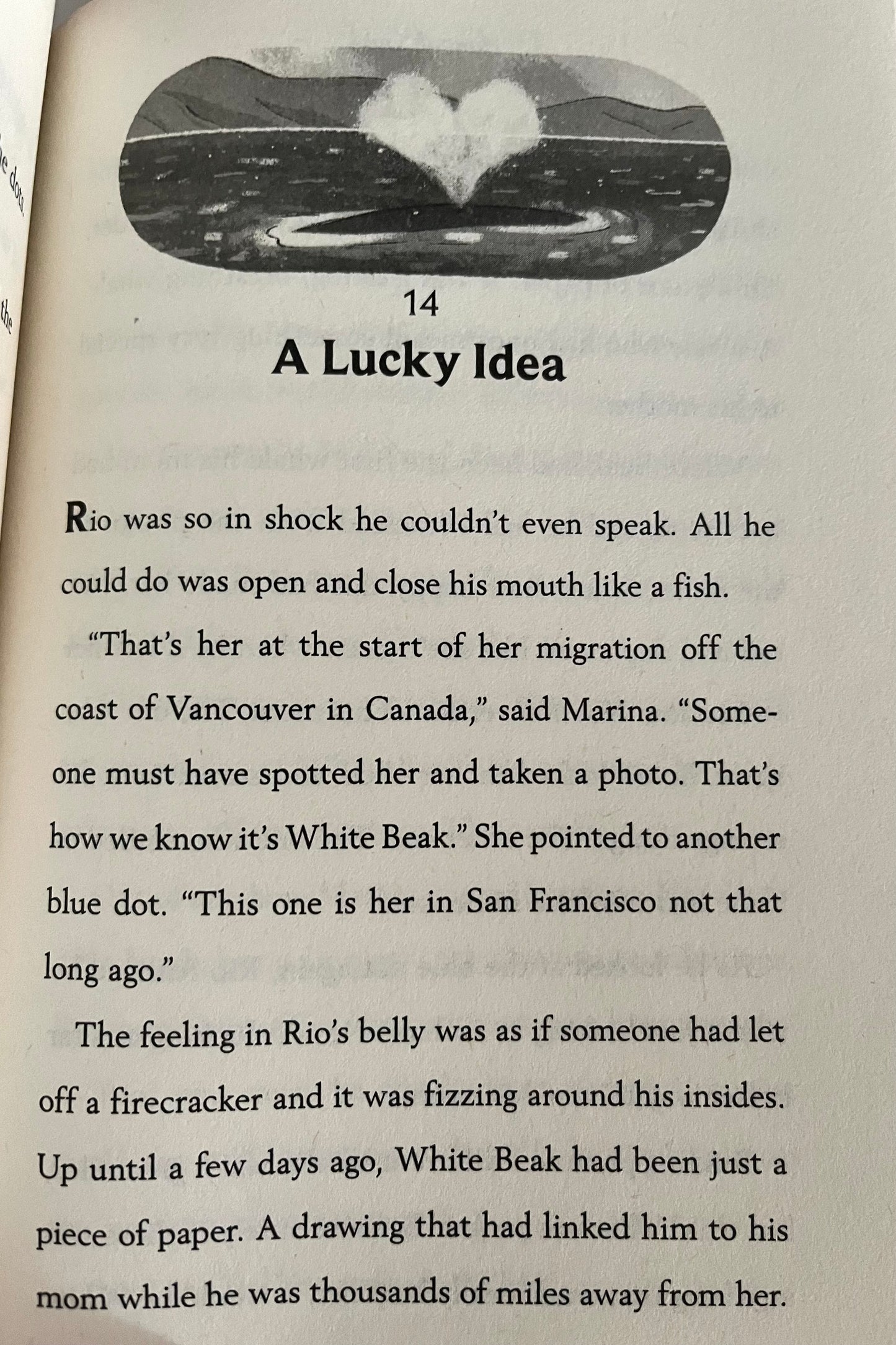 Chapter Books for Older Readers - THE LOST WHALE