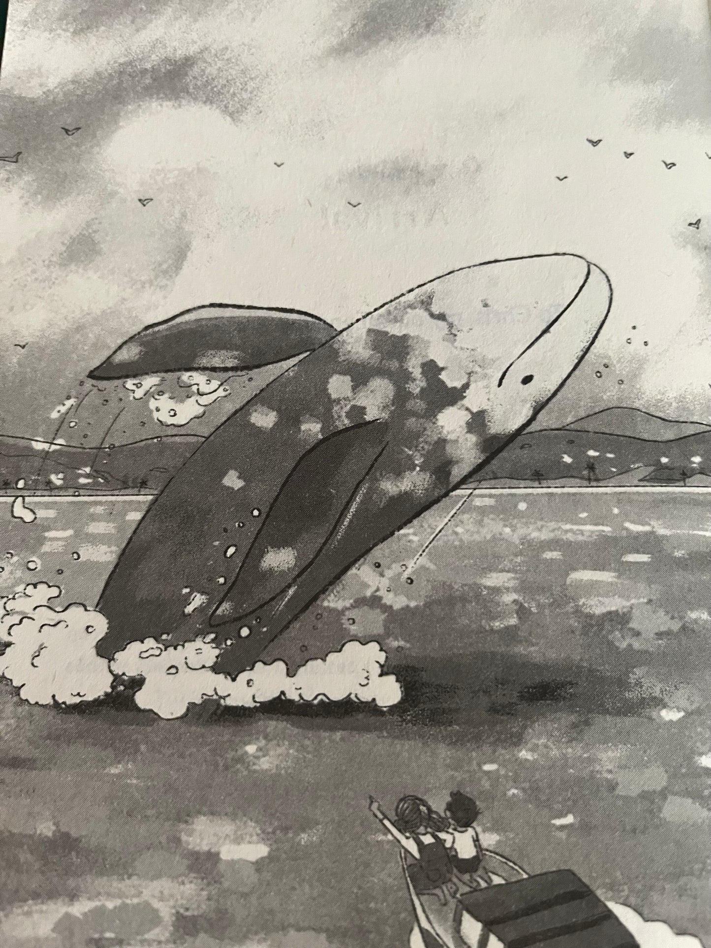 Chapter Books for Older Readers - THE LOST WHALE
