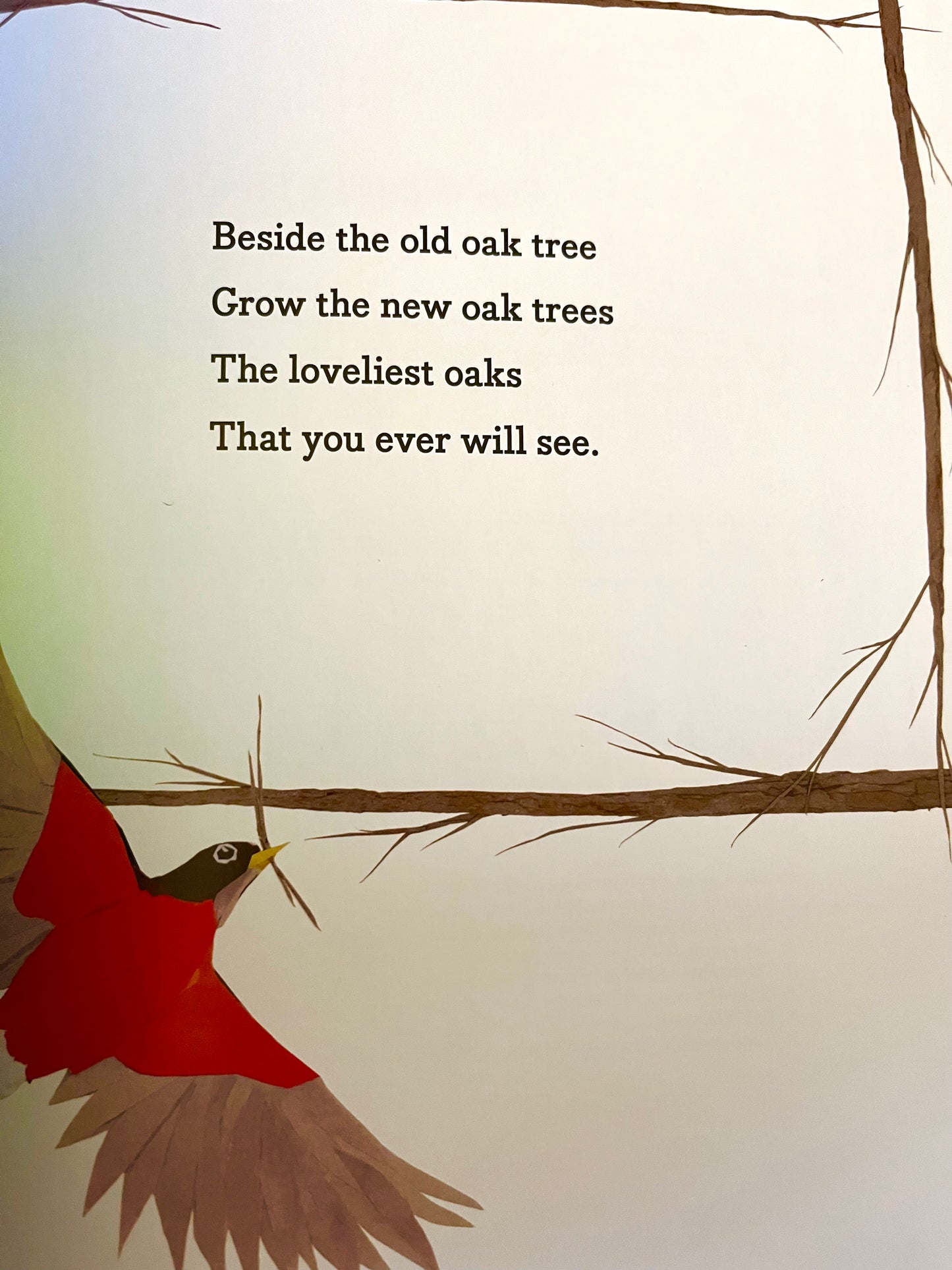 Children's Picture Book - THE OLD OAK TREE
