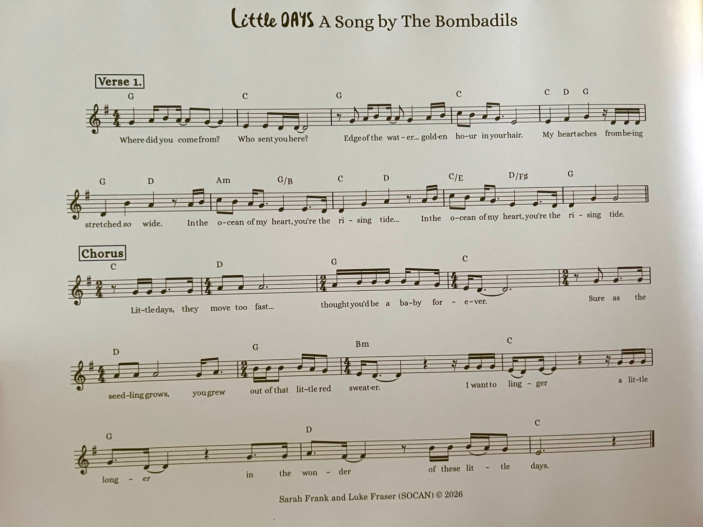 Children's Picture Book - LITTLE DAYS, a words and music book!