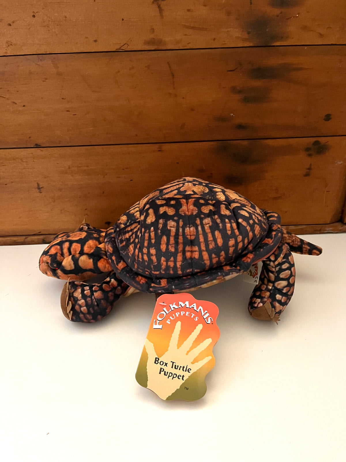 Soft Puppet Toy - North American BOX TURTLE