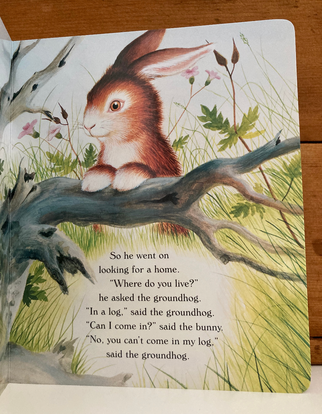 Children’s Picture Book - BABY FARM ANIMALS and HOME FOR A BUNNY