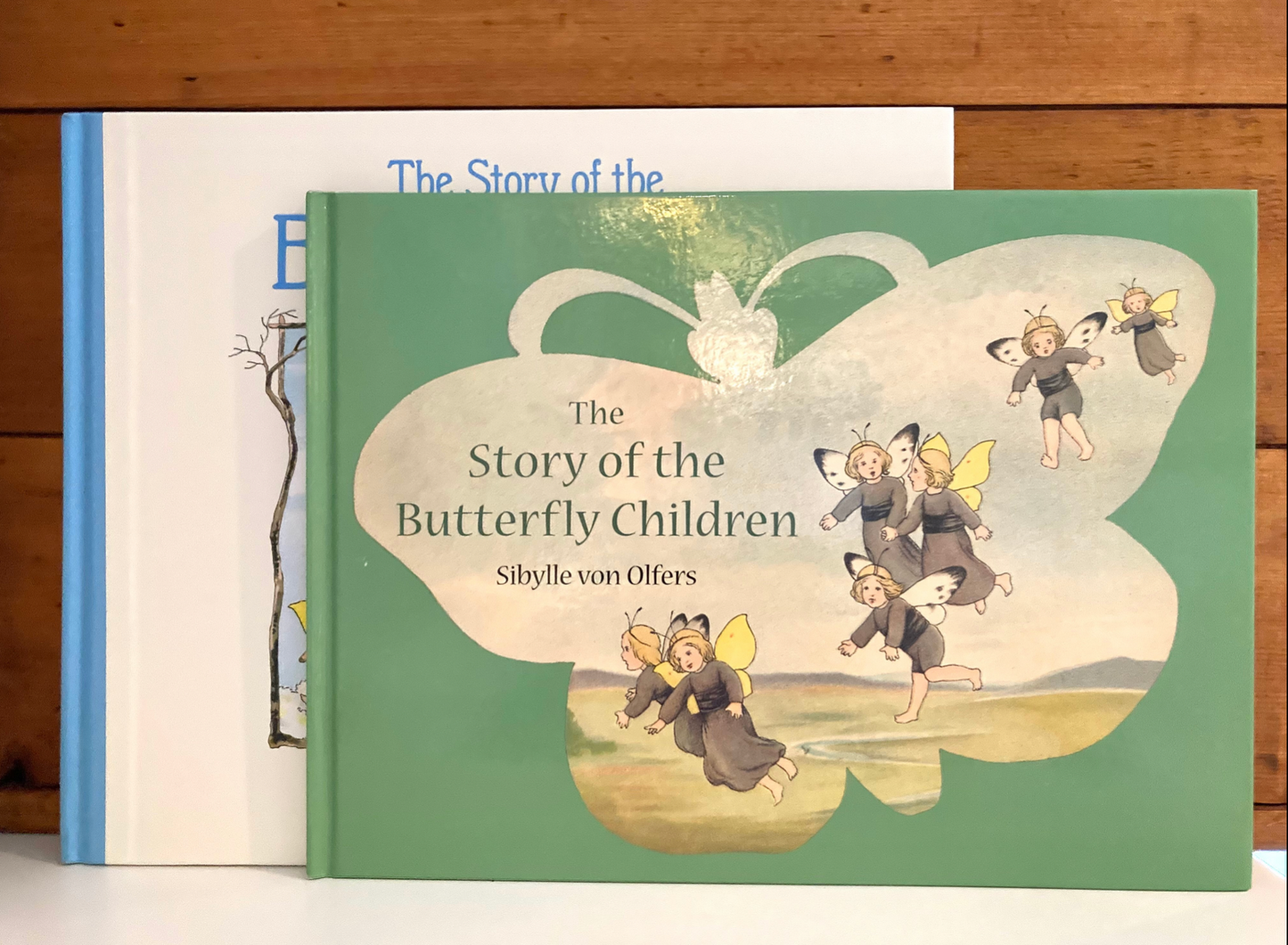 Livre d'images pour enfants - L'HISTOIRE DU ROI LION