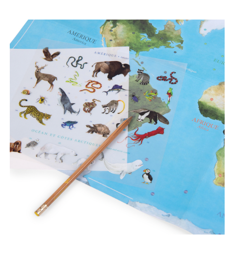 Educational Poster Set - MAP of ANIMALS OF THE WORLD, 107 animal transfers!