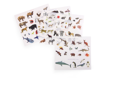 Coffret d'affiches pédagogiques - CARTE DES ANIMAUX DU MONDE, 107 transferts d'animaux !