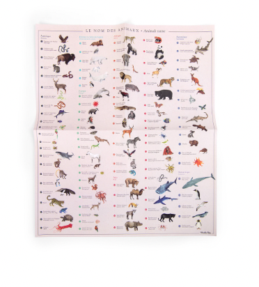 Coffret d'affiches pédagogiques - CARTE DES ANIMAUX DU MONDE, 107 transferts d'animaux !