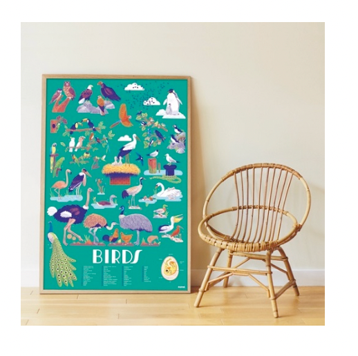 Activity Set - BIRDS TO DISCOVER, 45 stickers!