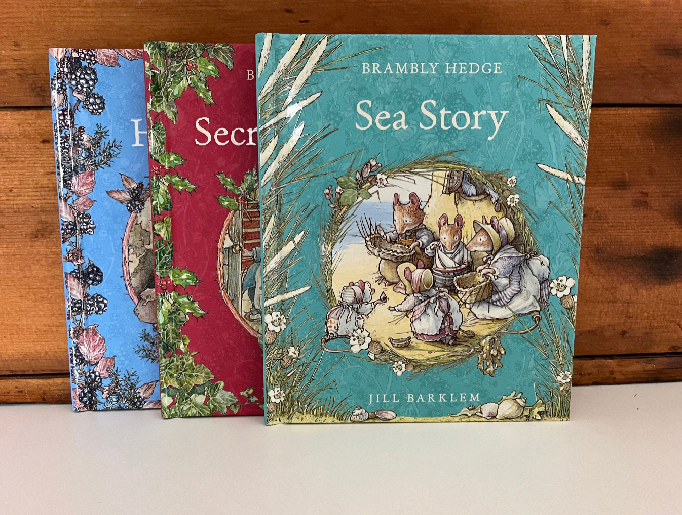 Livre d'images pour enfants - HISTOIRE D'ÉTÉ DES SOURIS DE BRAMBLY HEDGE