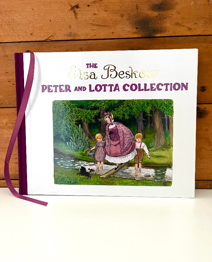 Livre d'images pour enfants - L'ANNIVERSAIRE DE TANTE BROWN