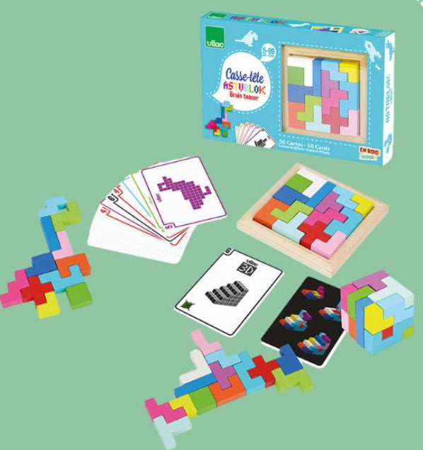 Activity Set - Wooden BRAIN TEASER Puzzle & Cards, 65 pieces!