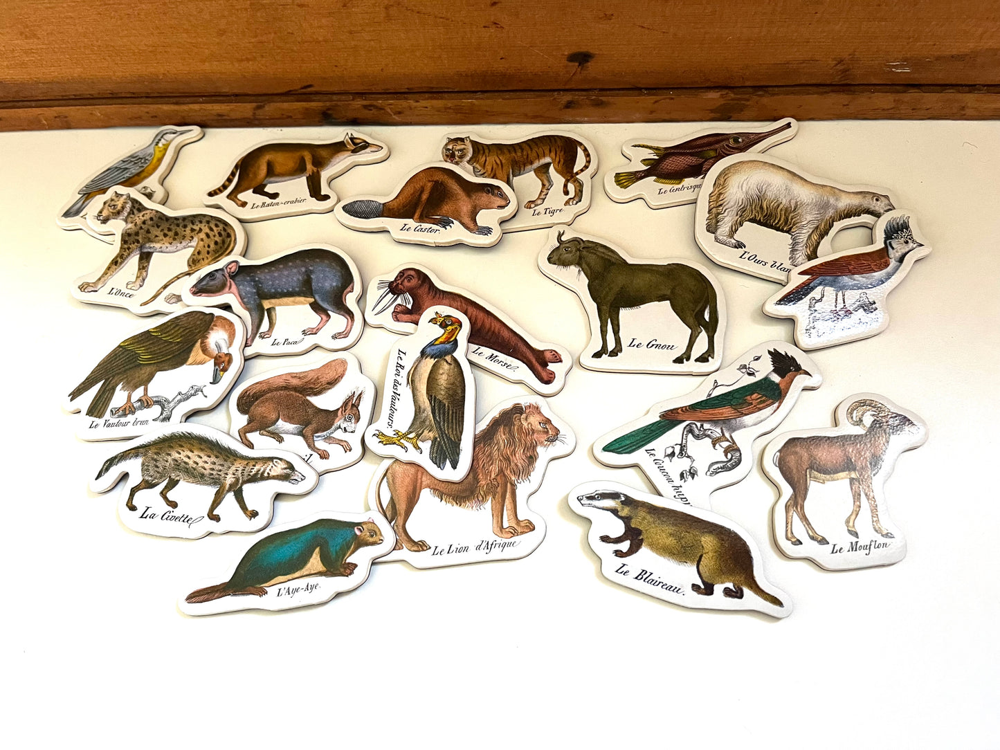 Ensemble d'activités - AIMANTS en bois, "Histoire naturelle zoologique", 20 aimants !