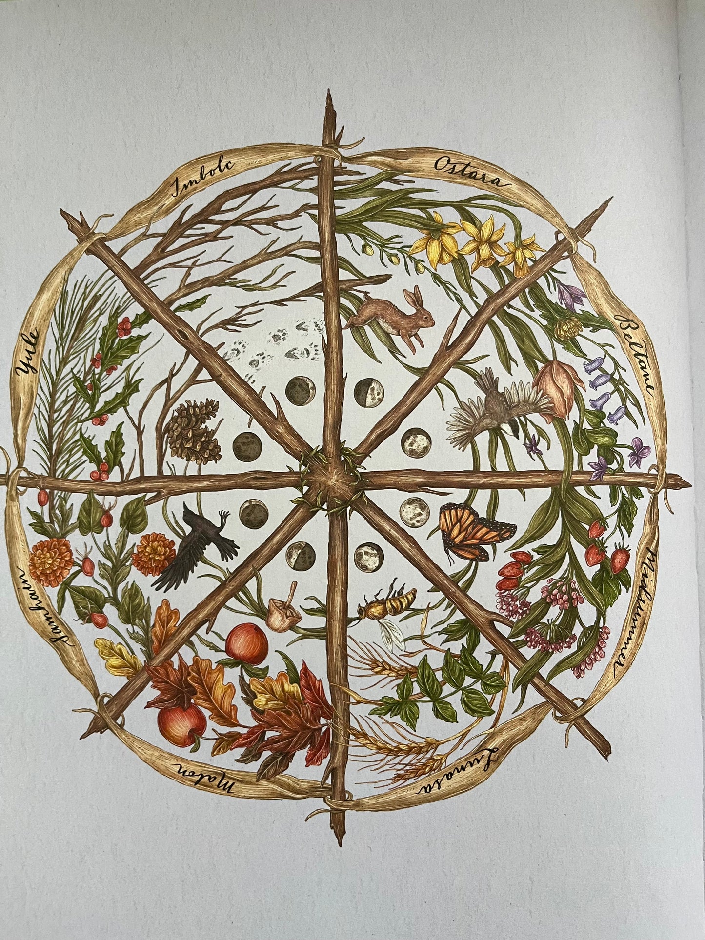 Parenting Resource Book - THE WHEEL OF THE YEAR, An Illustrated Guide to Nature's Rhythms🤩