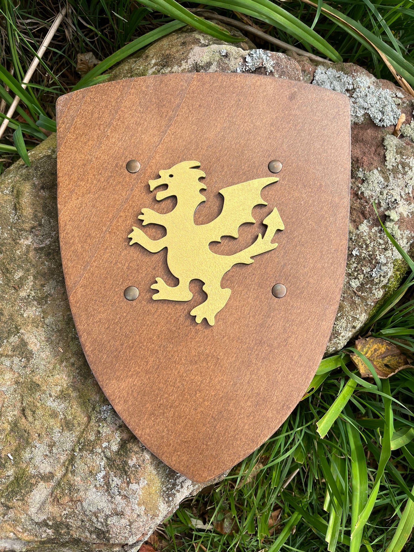 BOUCLIER DE DRAGON Royal en bois
