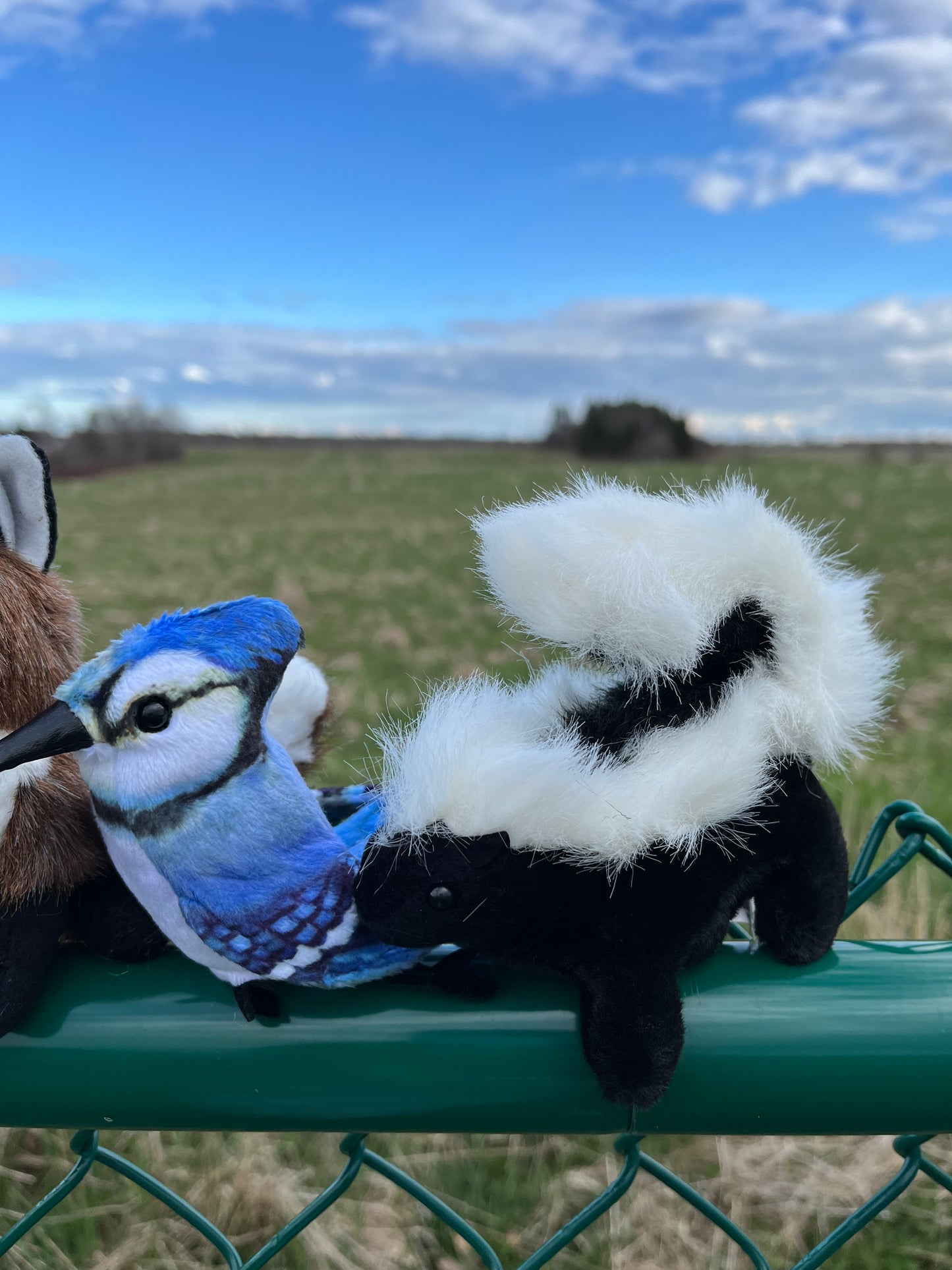 Soft Mini Puppet Set - WILD ANIMALS in TORONTO