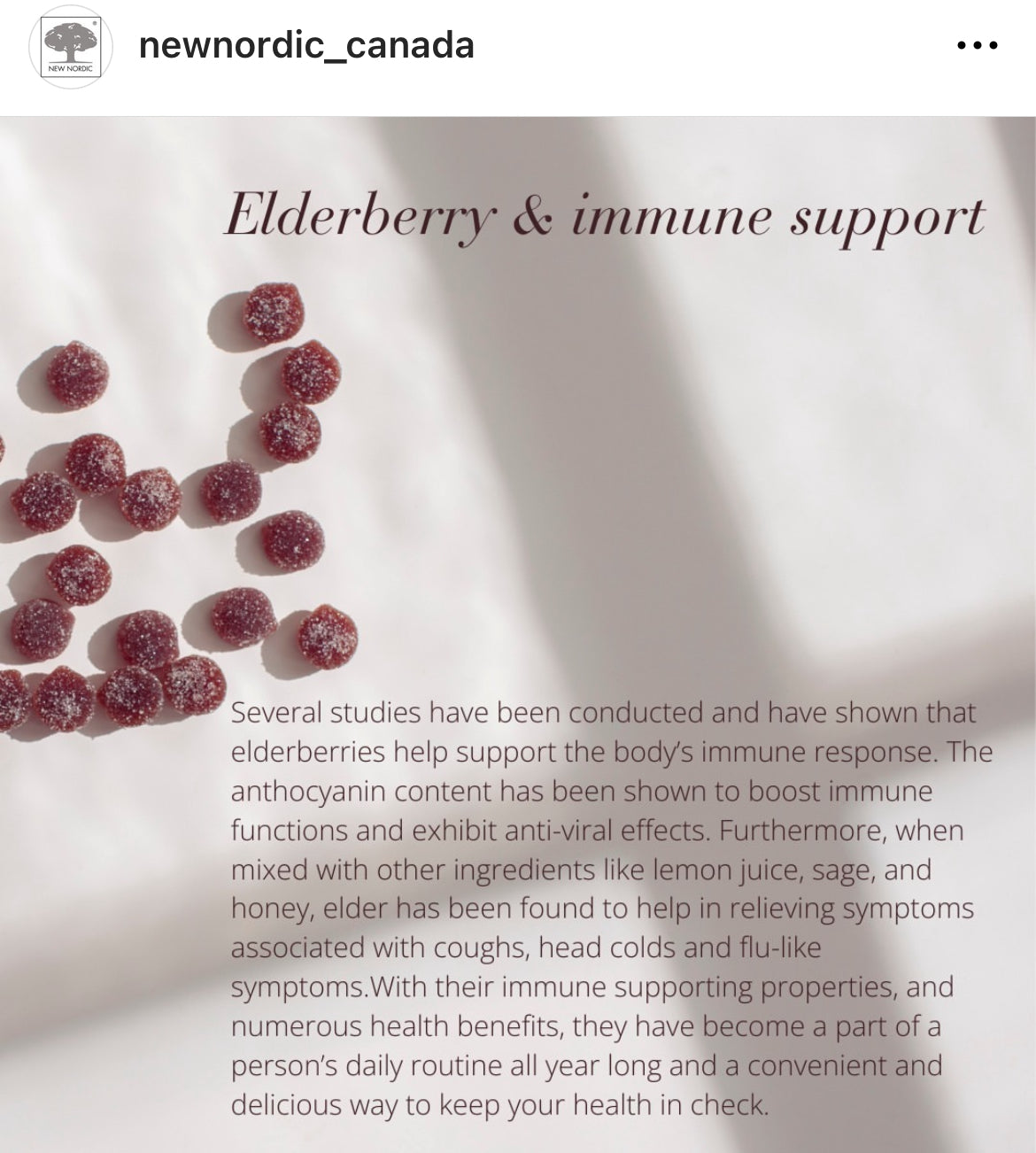 Santé Holistique - Nouveau SUREAU Nordique ACTIVE IMMUNITAIRE, NOUVEAU ! GUMMIES au sureau !