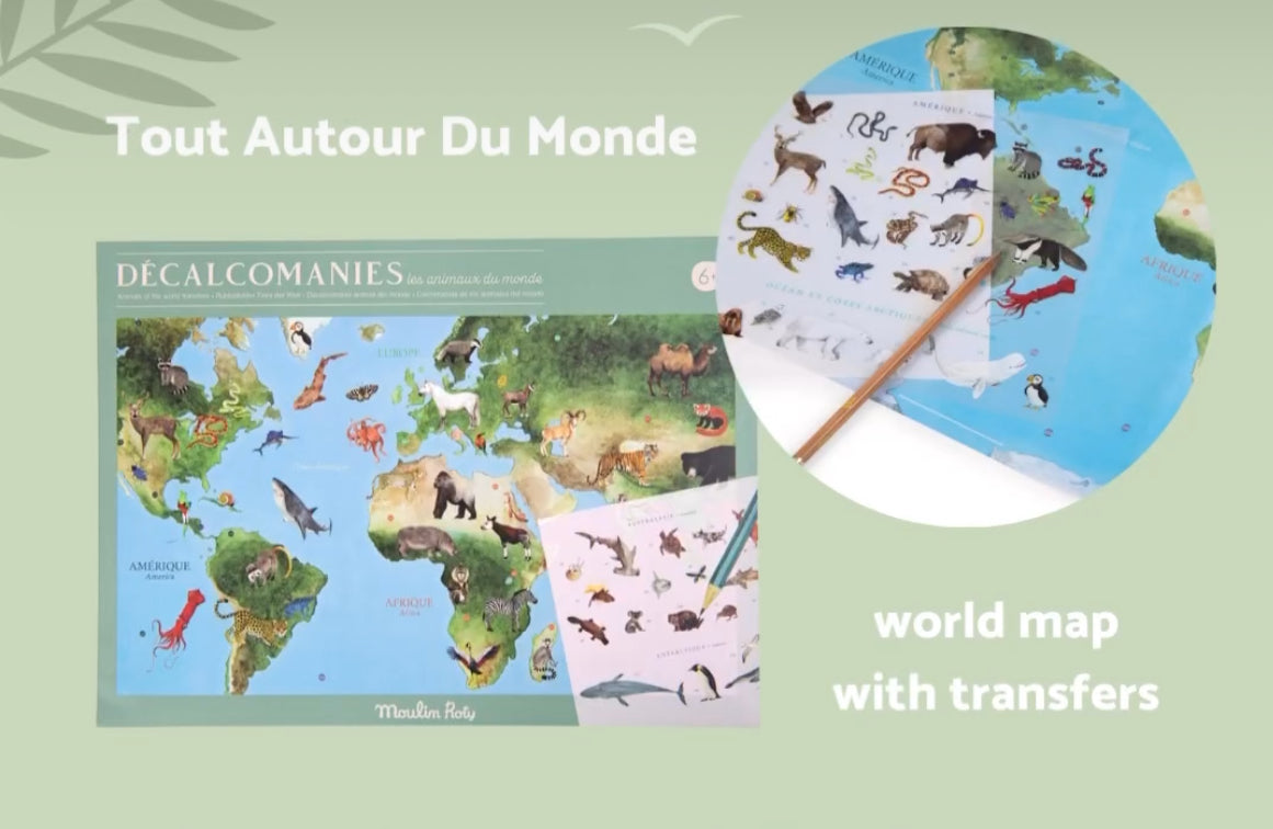 Coffret d'affiches pédagogiques - CARTE DES ANIMAUX DU MONDE, 107 transferts d'animaux !