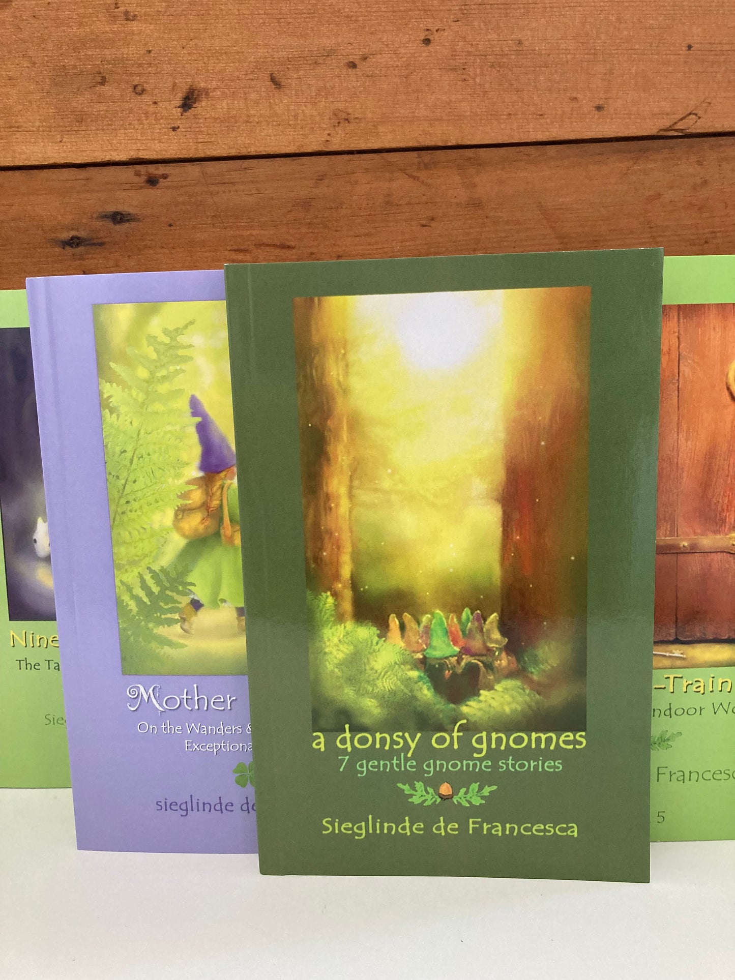 Chapter Book for Young Readers - MOTHER COMFREY