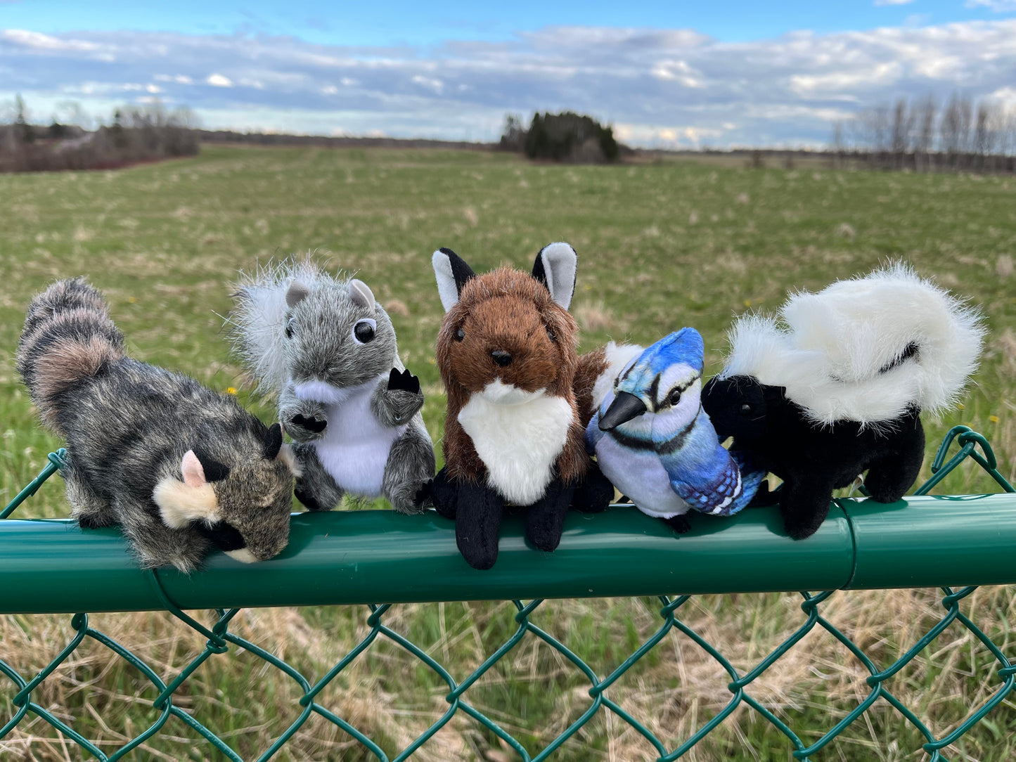 Soft Mini Puppet Set - WILD ANIMALS in TORONTO