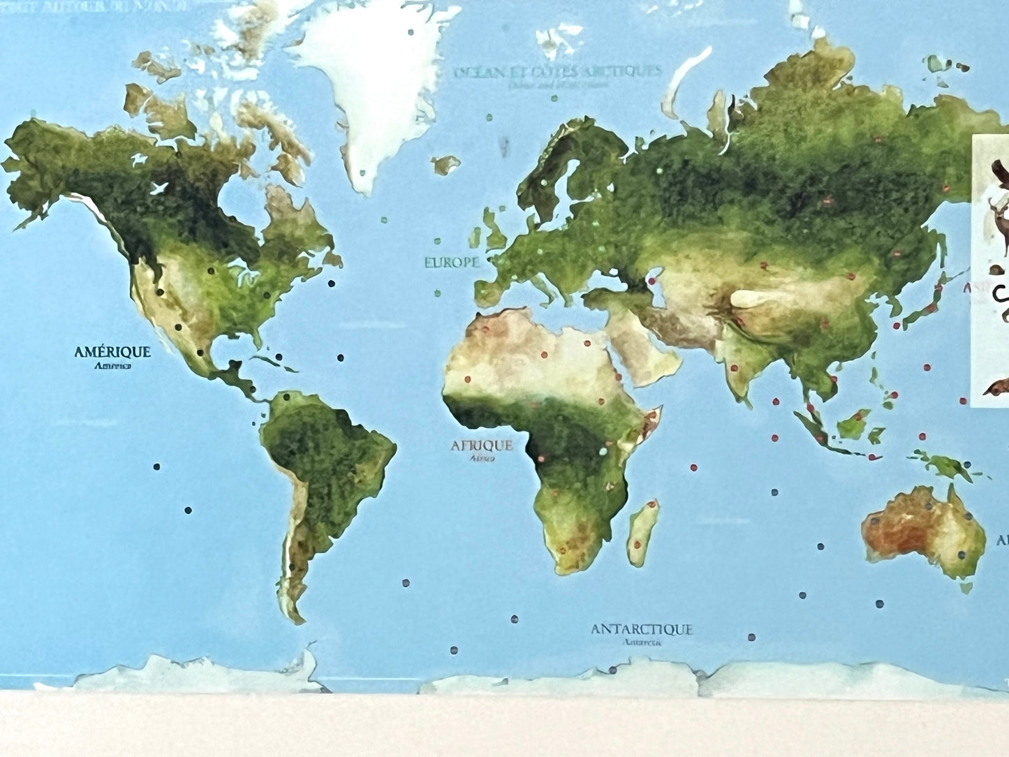 Educational Poster Set - MAP of ANIMALS OF THE WORLD, 107 animal transfers!